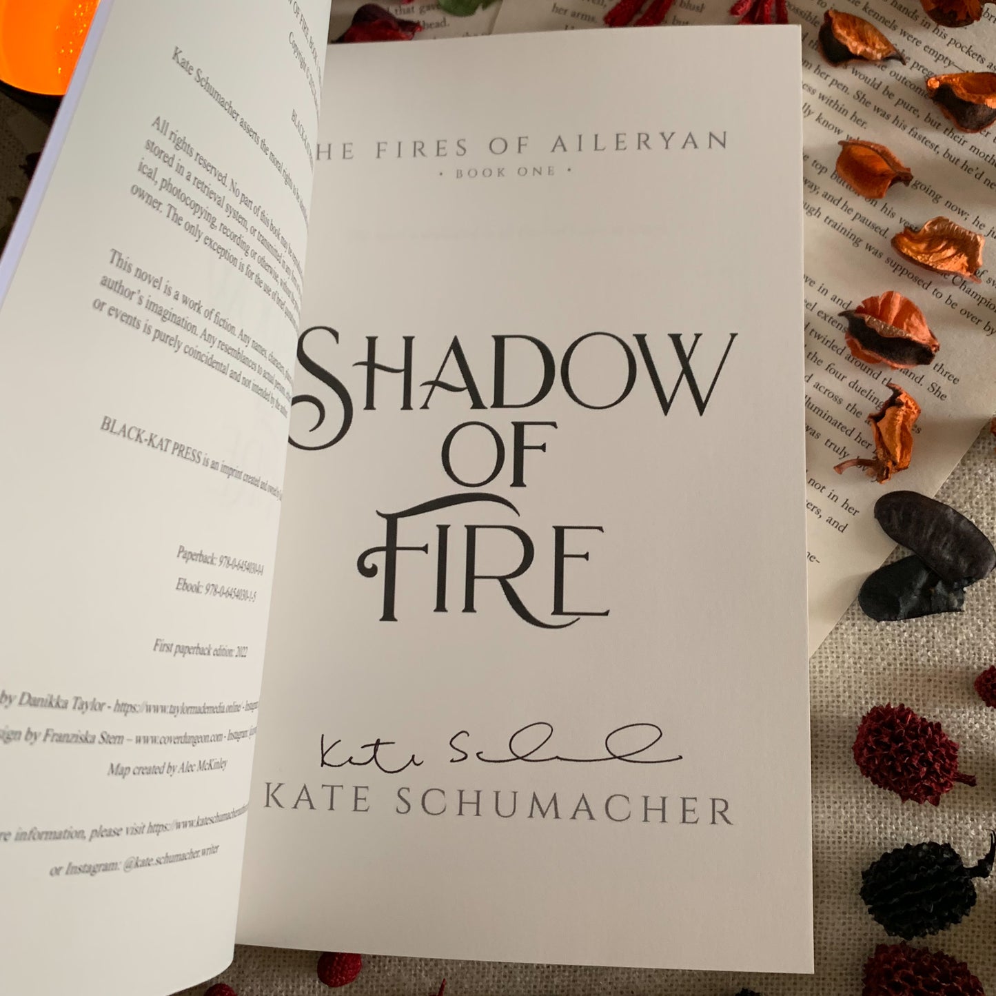 The Fires of Aileryan Series by Kate Schumacher