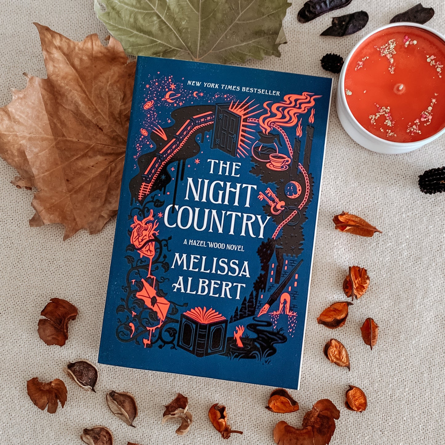 The Hazel Wood Series by Melissa Albert