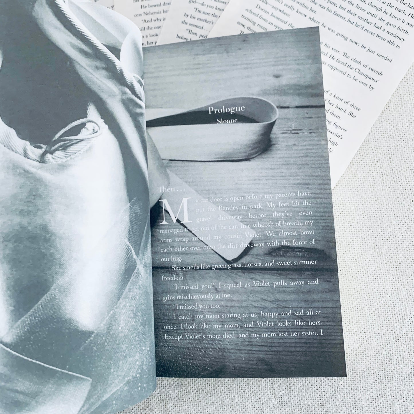 Chestnut Springs series by Elsie Silver