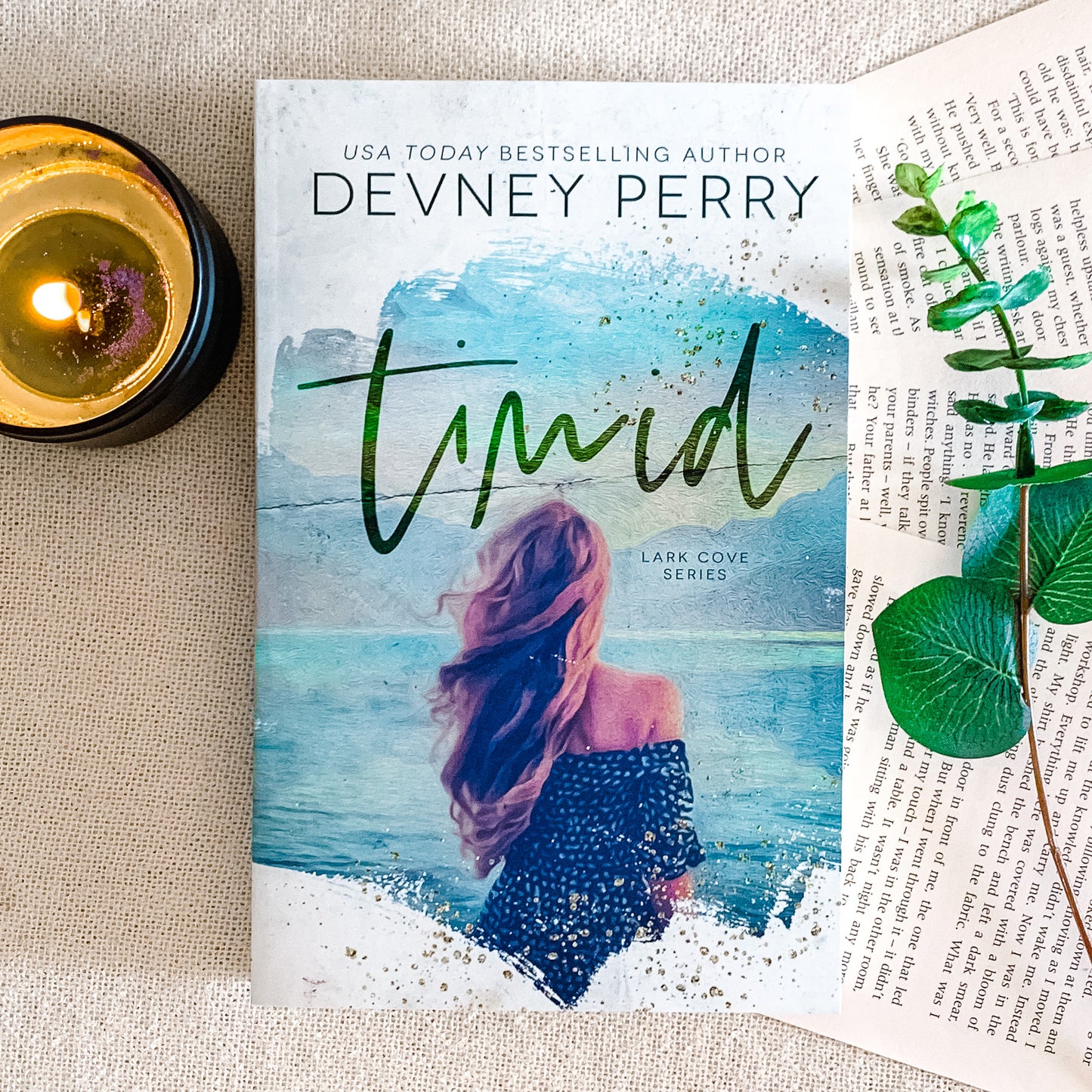 Lark Cove Series by Devney Perry