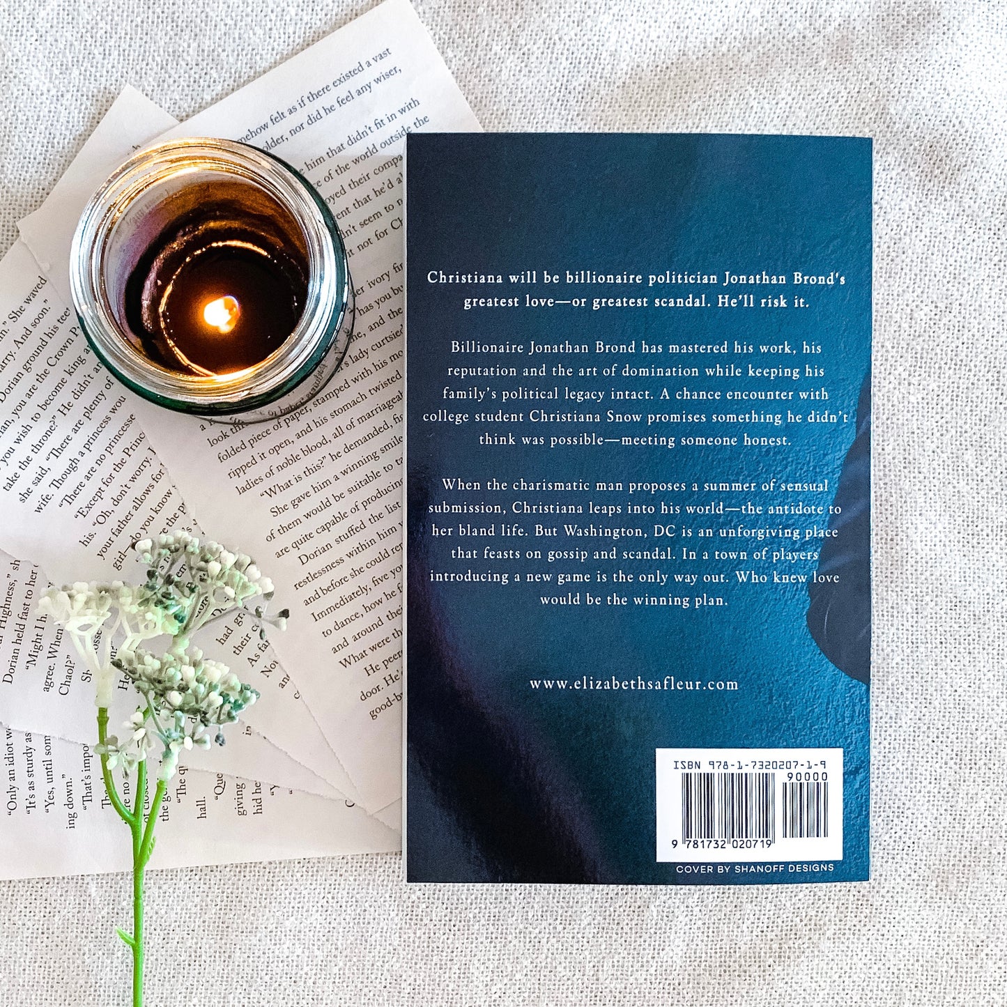 Elite Doms of Washington by Elizabeth SaFleur