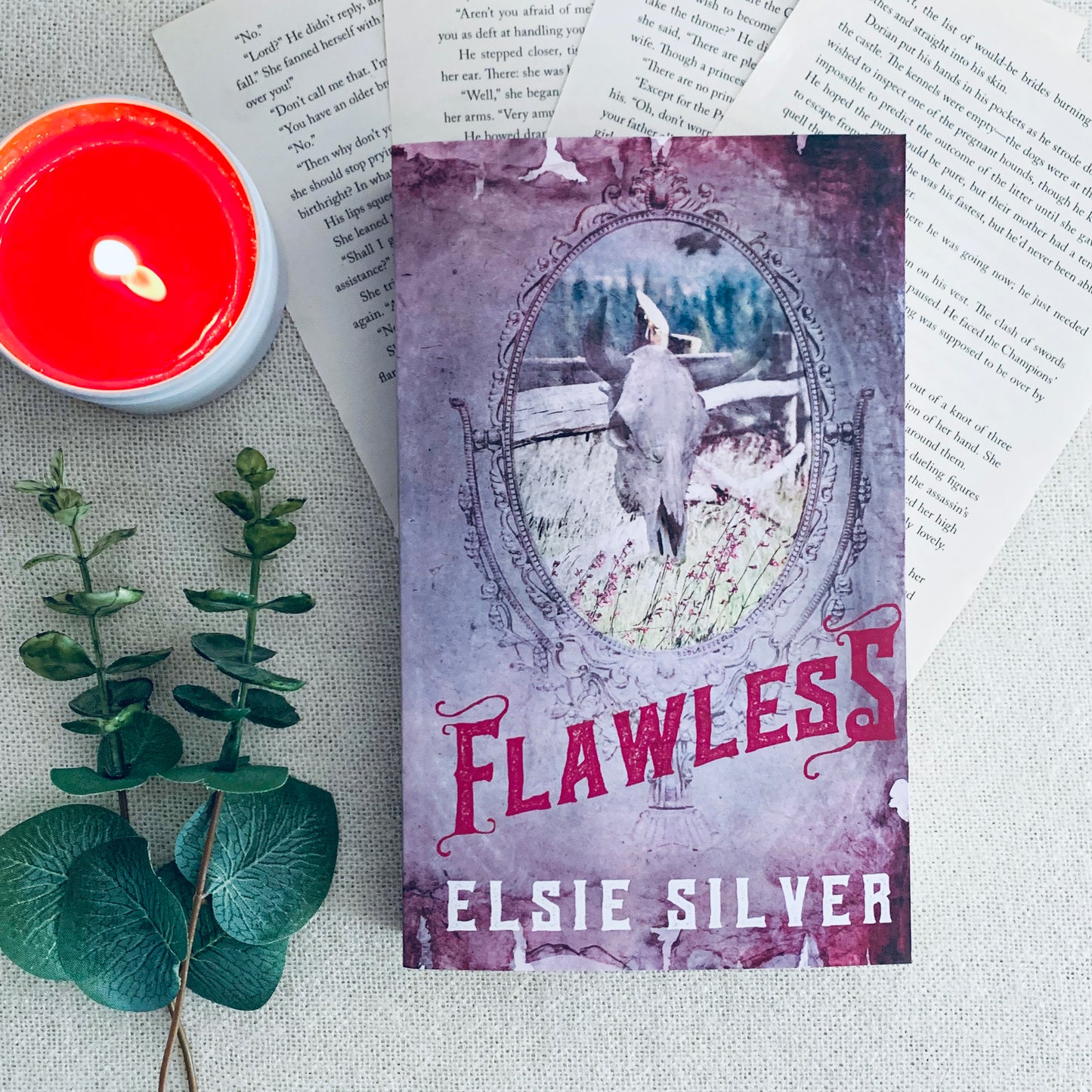 Chestnut Springs series by Elsie Silver