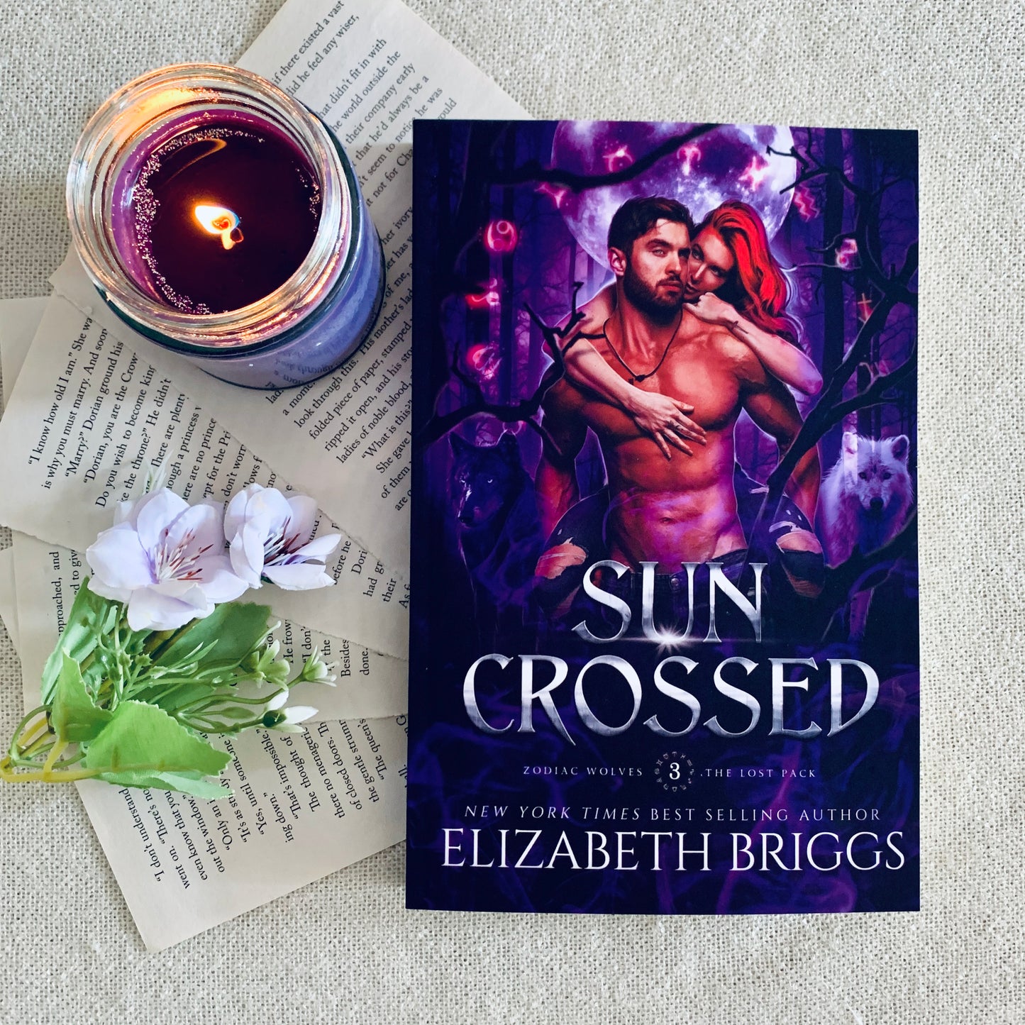 Zodiac Wolves Series by Elizabeth Briggs