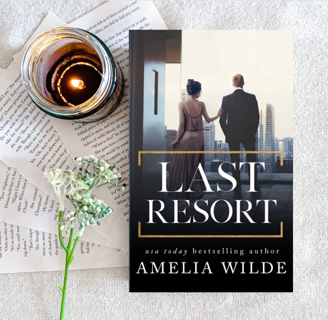 The Collector Trilogy by Amelia Wilde