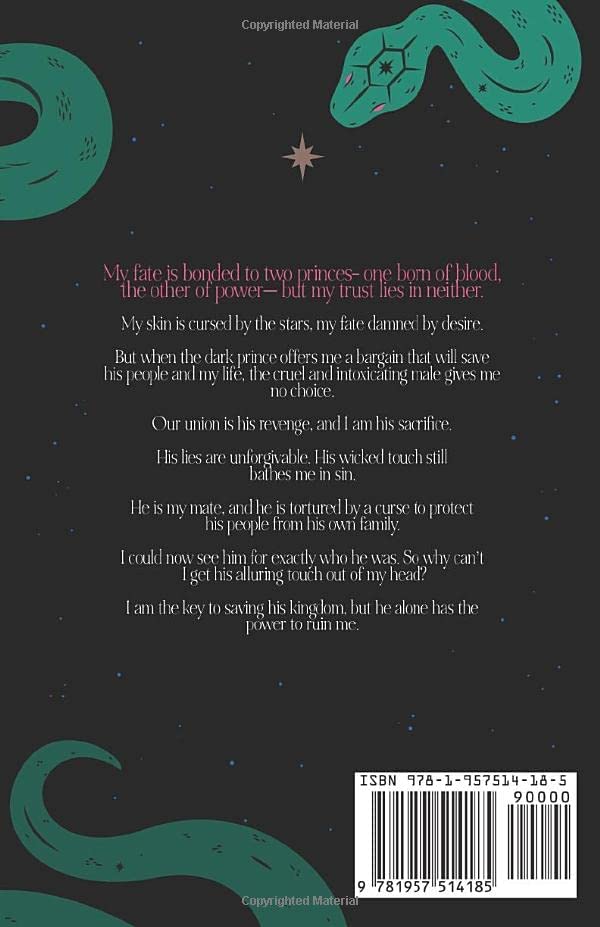 Stars and Shadows series by Holly Renee