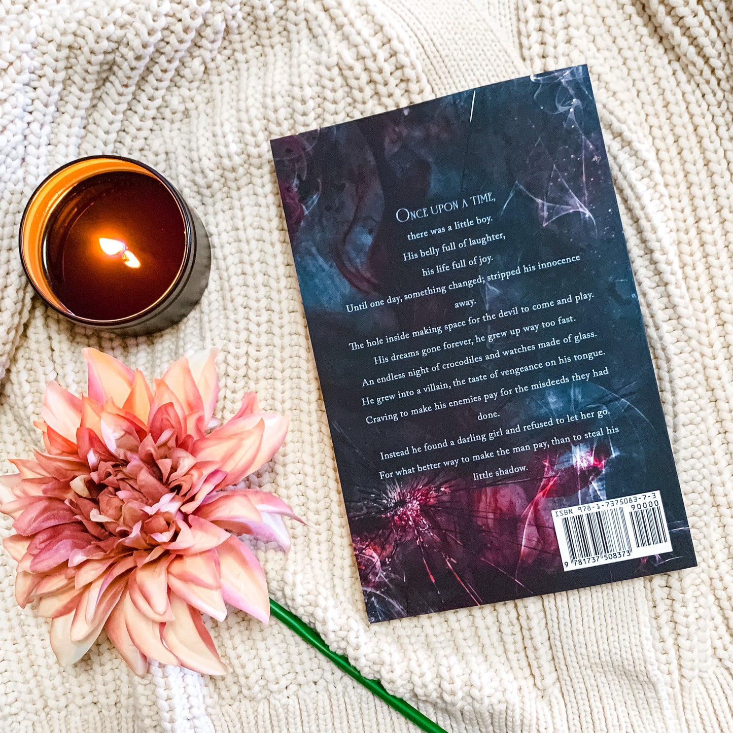 Never After Series by Emily McIntire