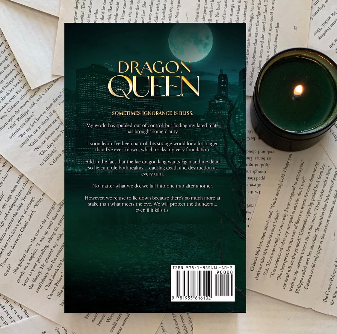 The Hidden King Series by Jen L. Grey