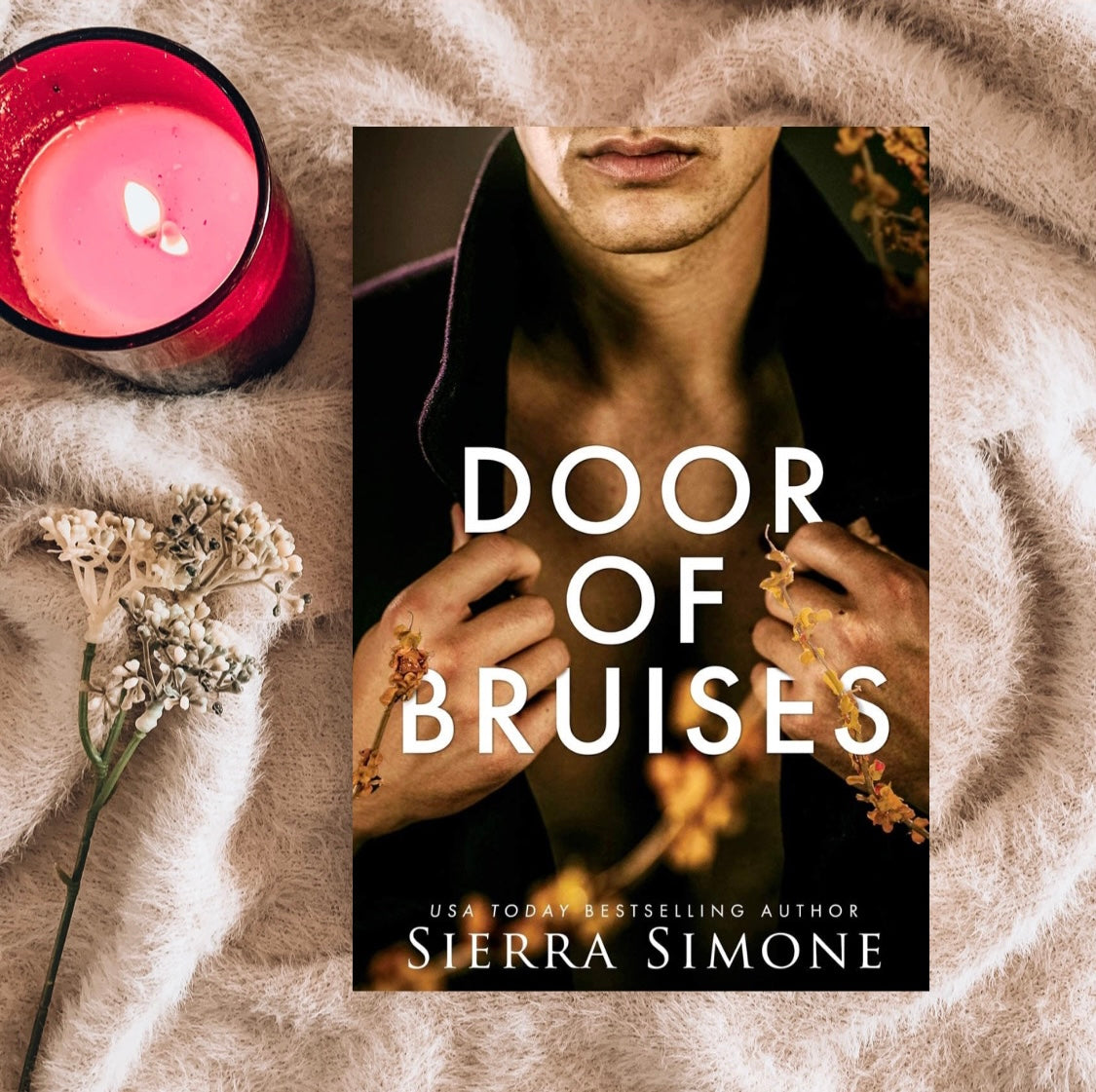Thornchapel Series by Sierra Simone