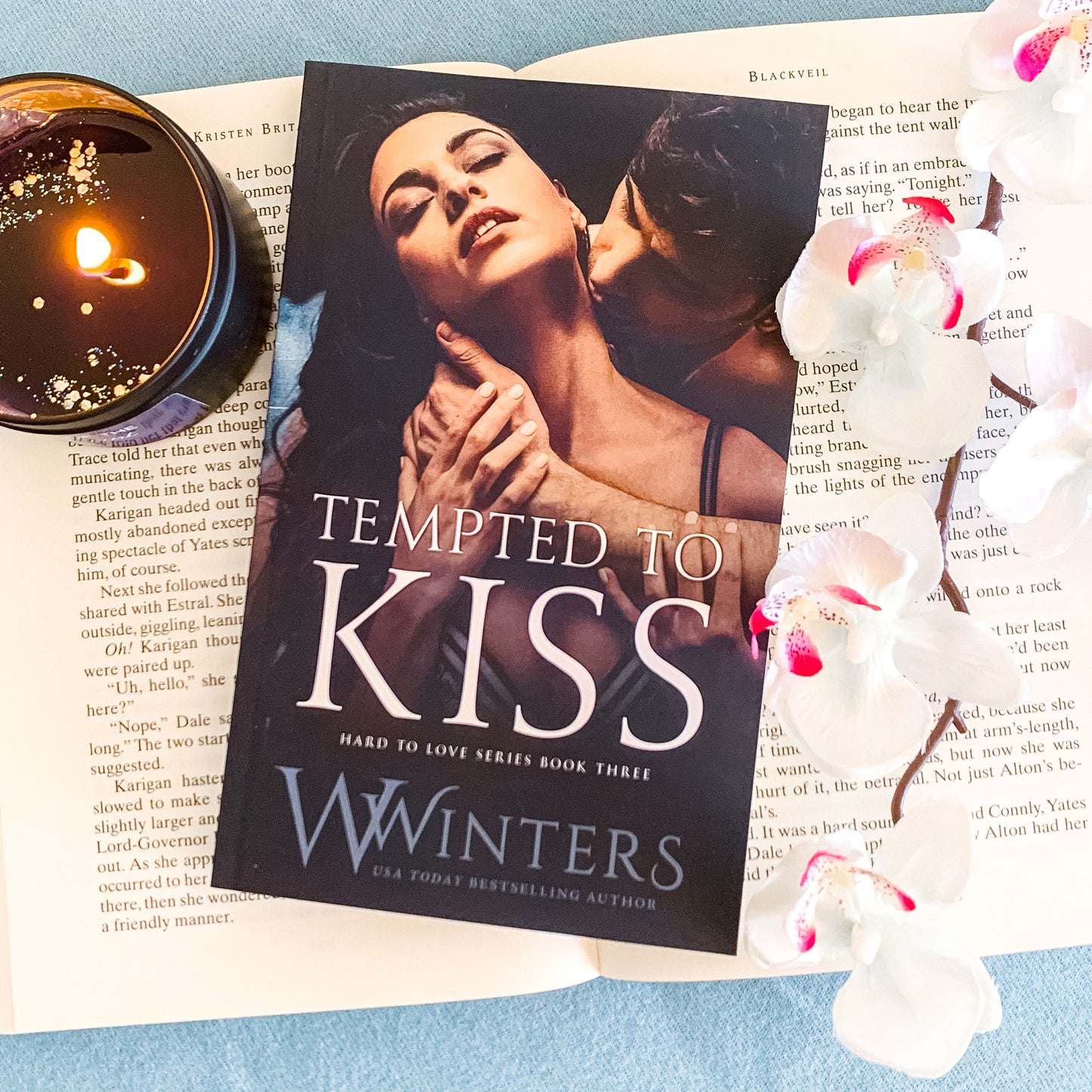 Hard to Love series by Willow Winters