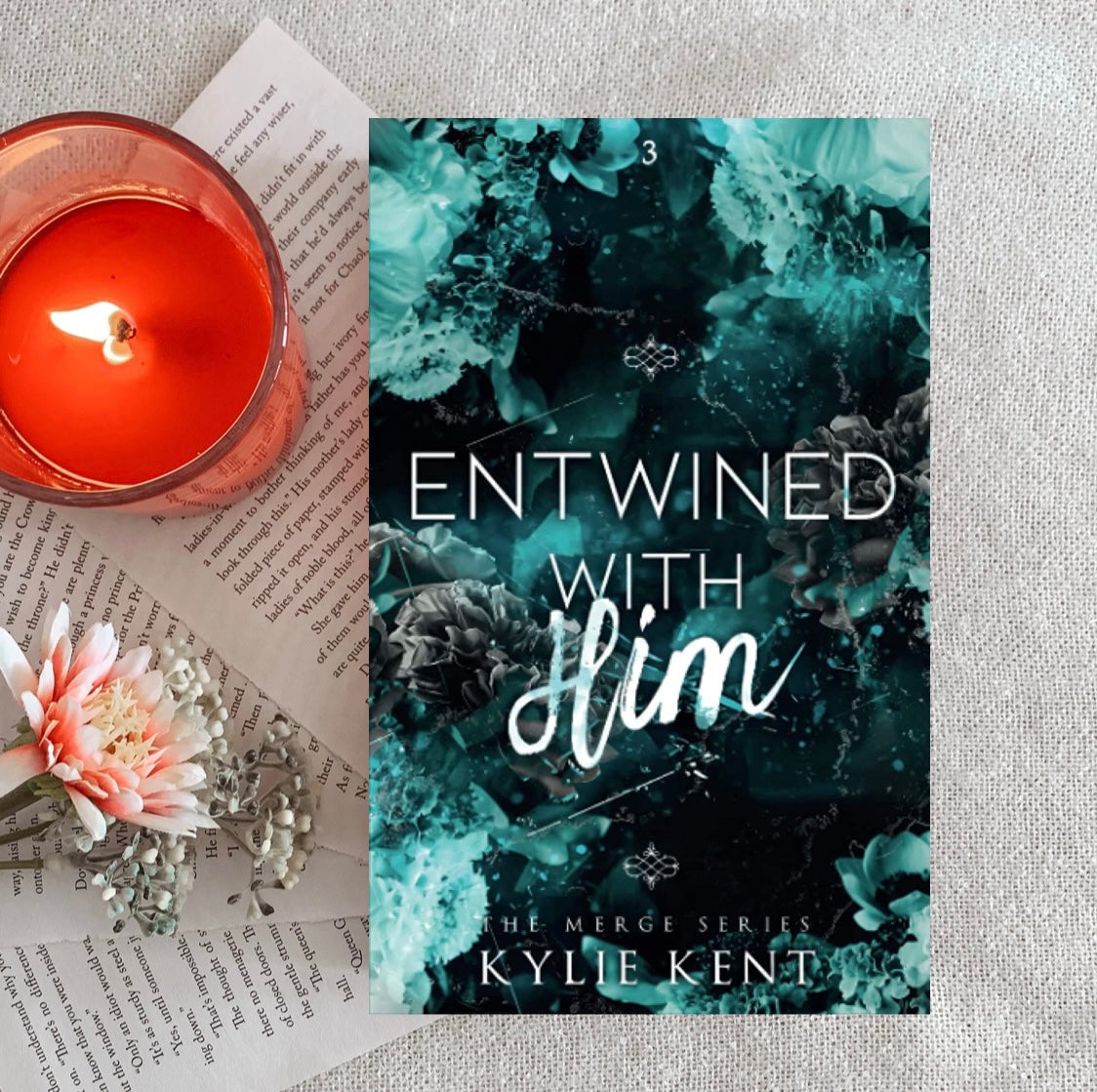 The Merge Series by Kylie Kent