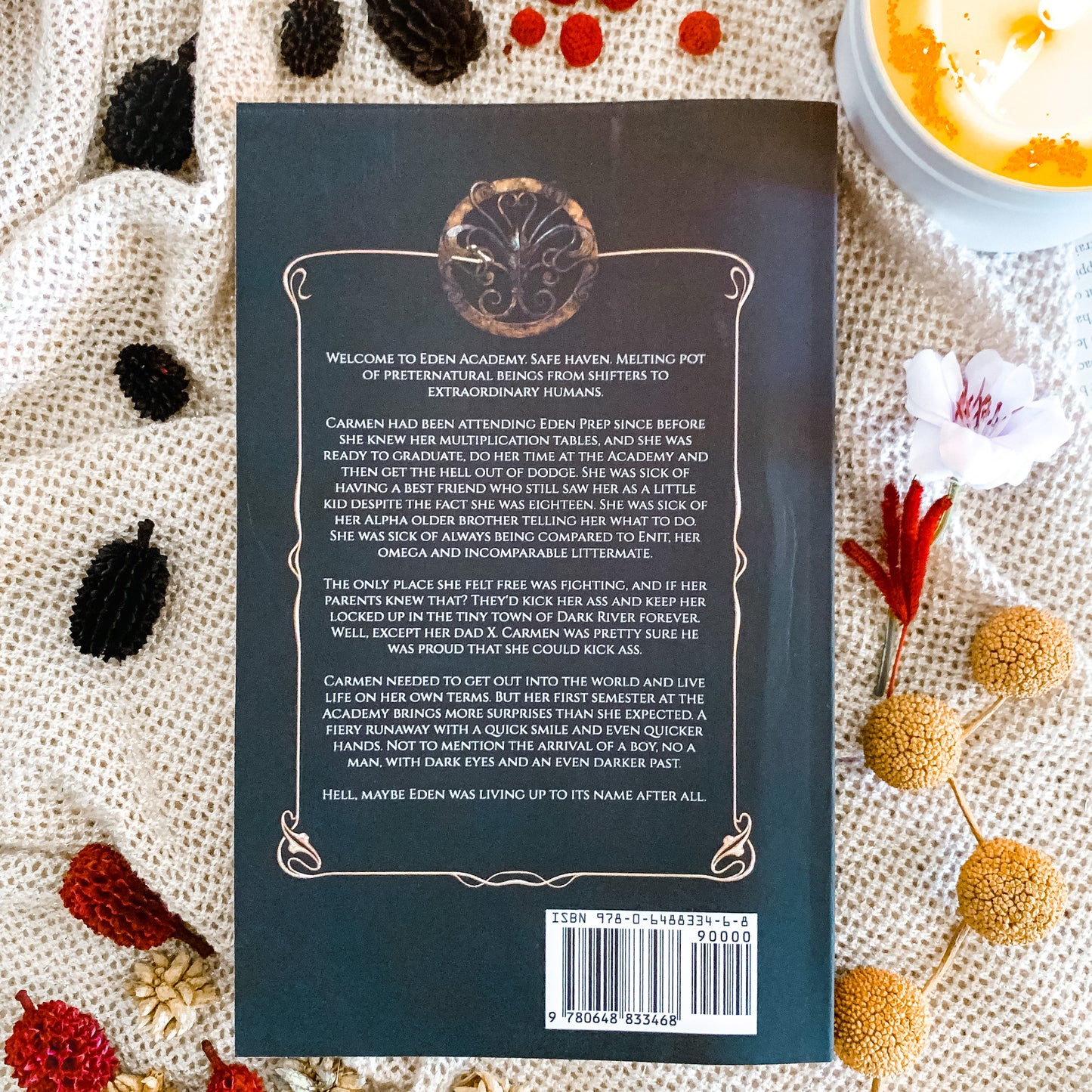 Eden Academy series by Grace McGinty