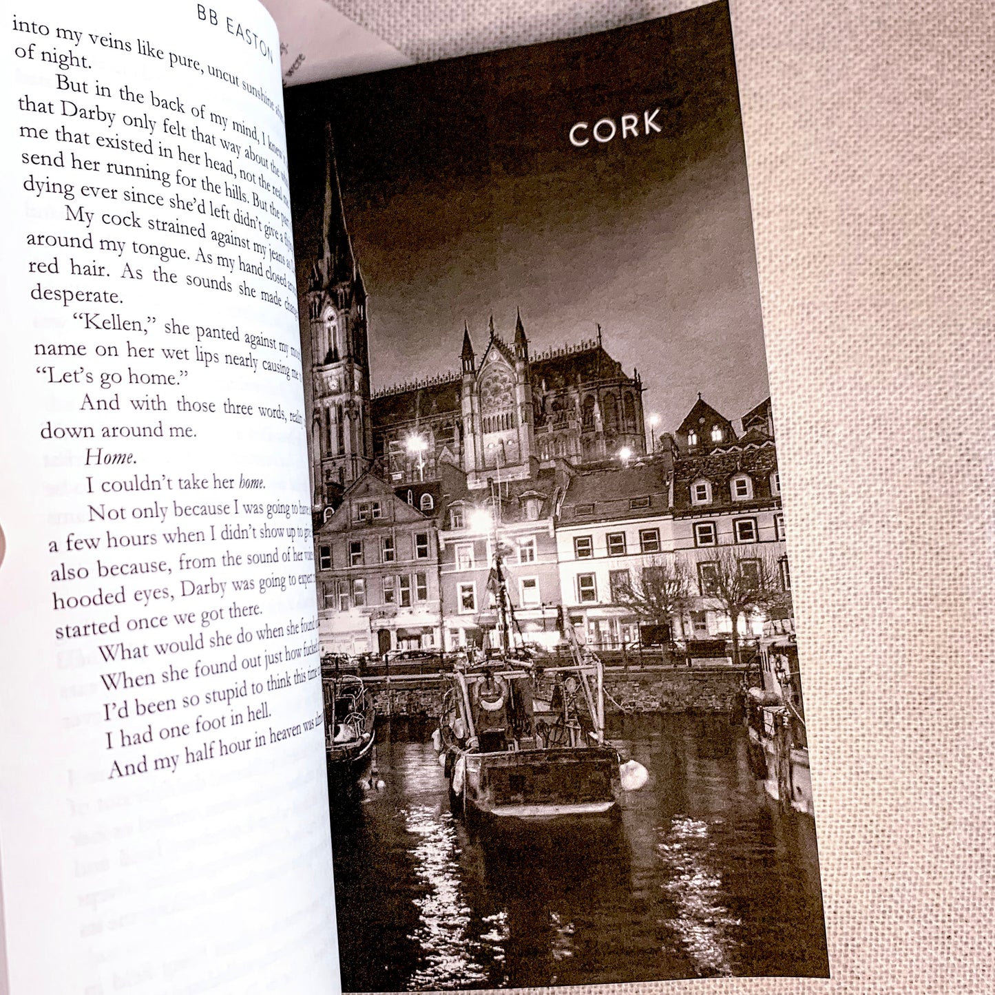 Devil of Dublin by BB Easton