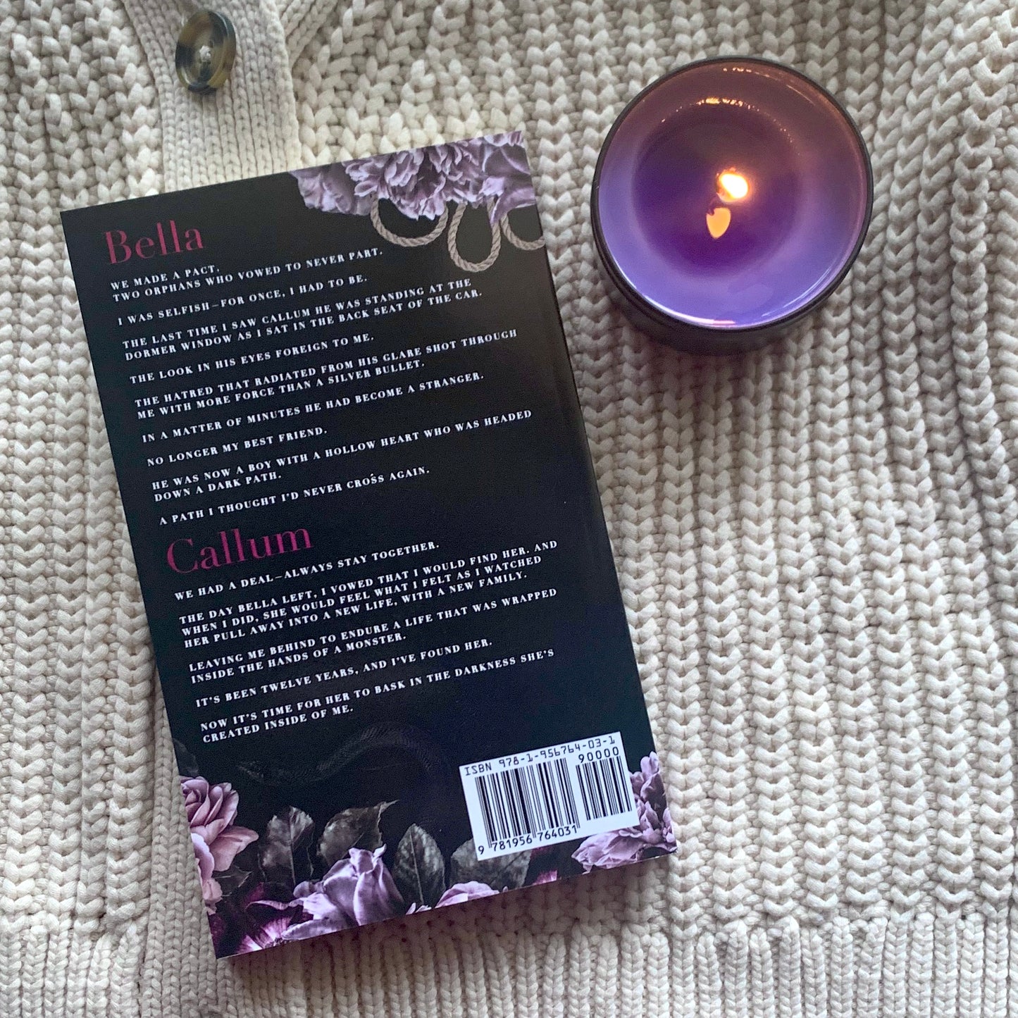 Fallen Kingdom Series by Rachel Leigh