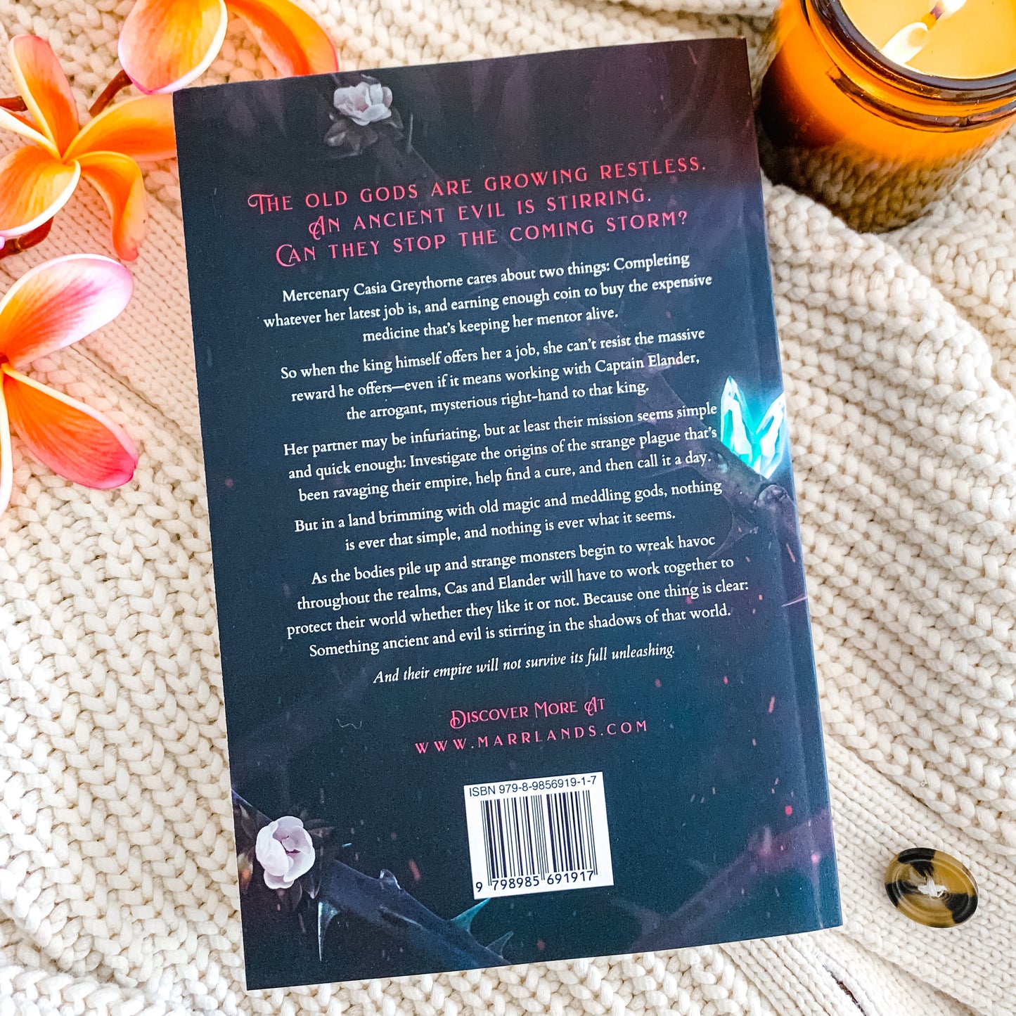 Shadows and Crowns Series by S M Gaither