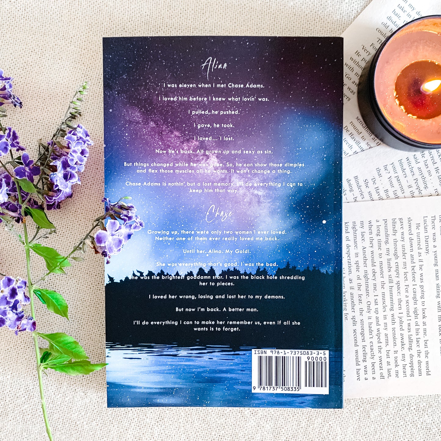 Sugarlake Series by Emily McIntire