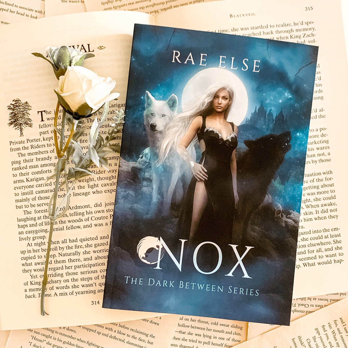 The Dark Between Series by Rae Else