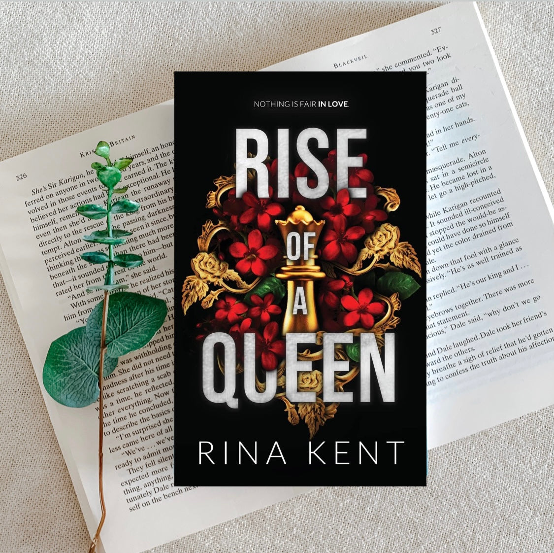 Kingdom Duet (Special Editions) by Rina Kent