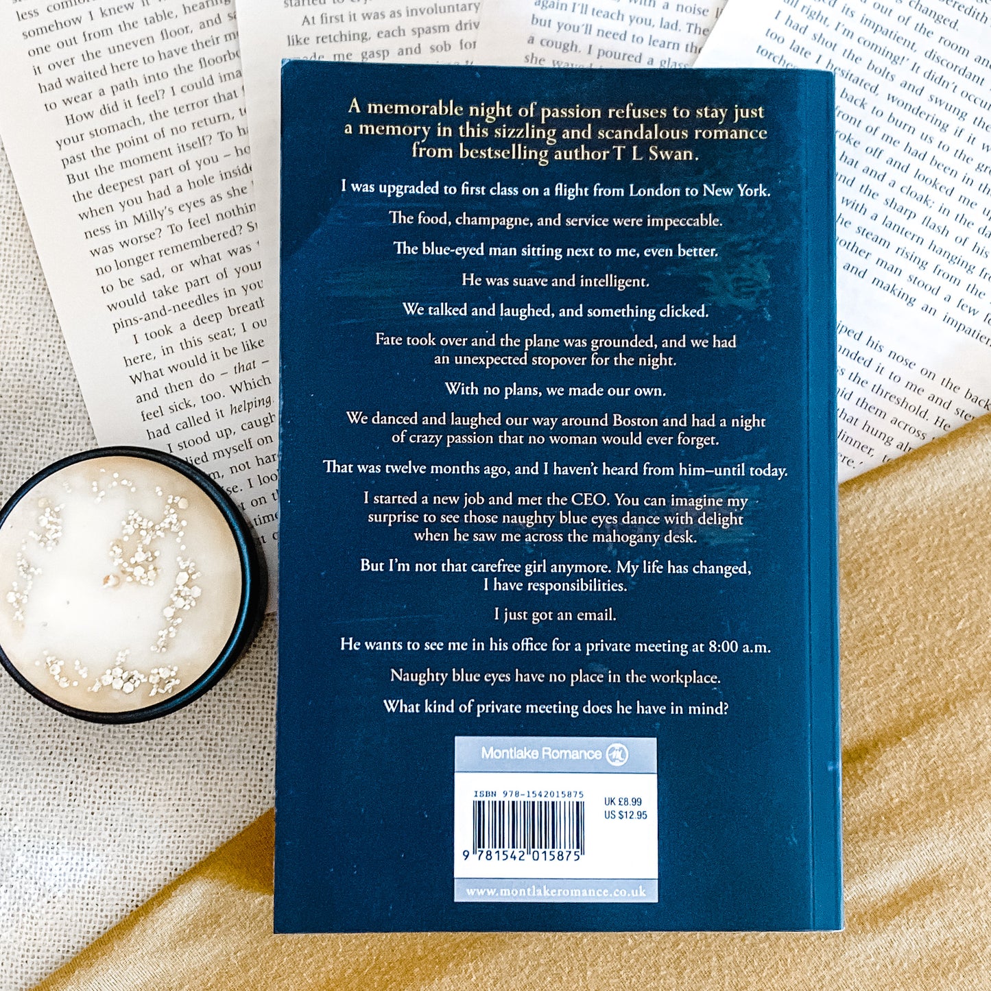 The Miles High Club series by T L Swan