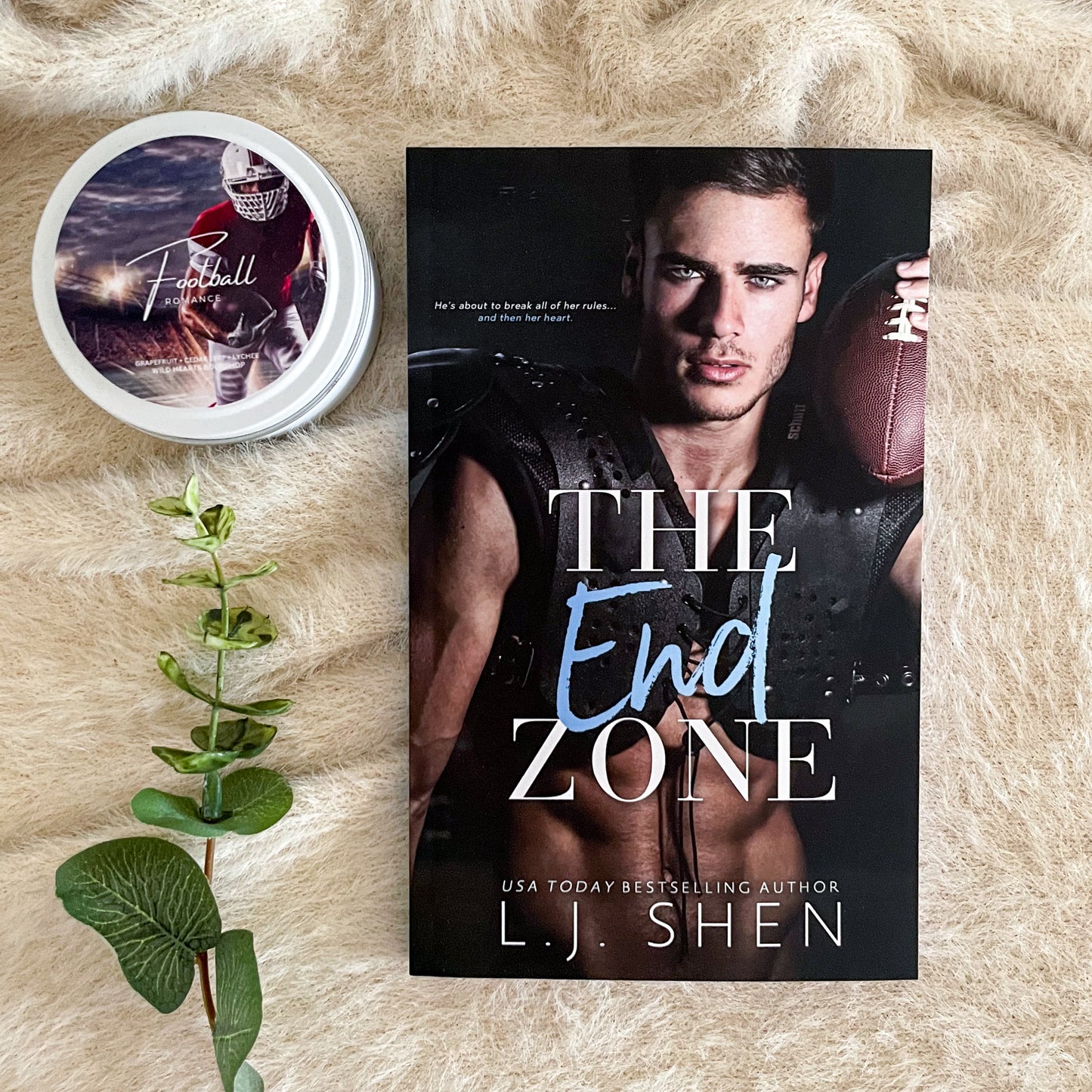 The End Zone by L.J Shen
