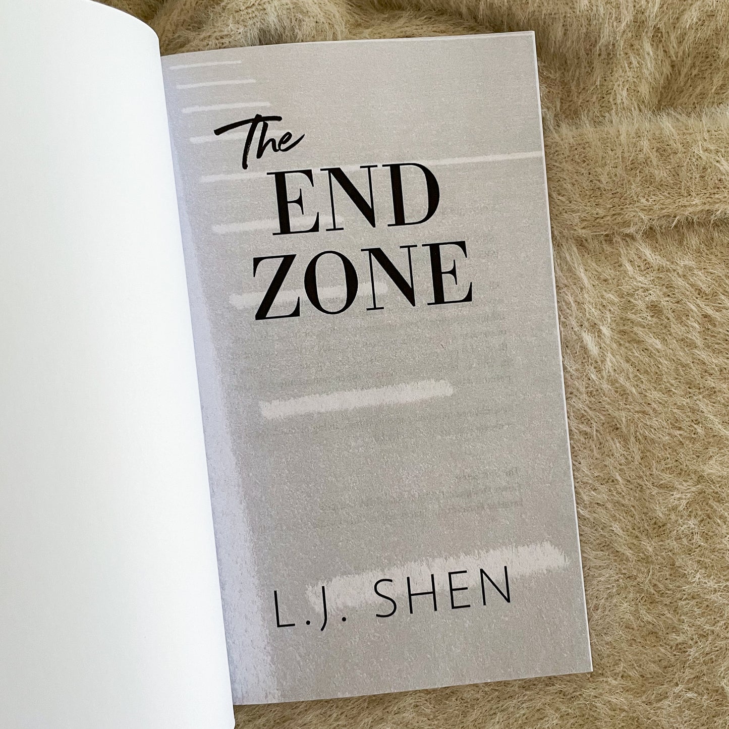 The End Zone by L.J Shen