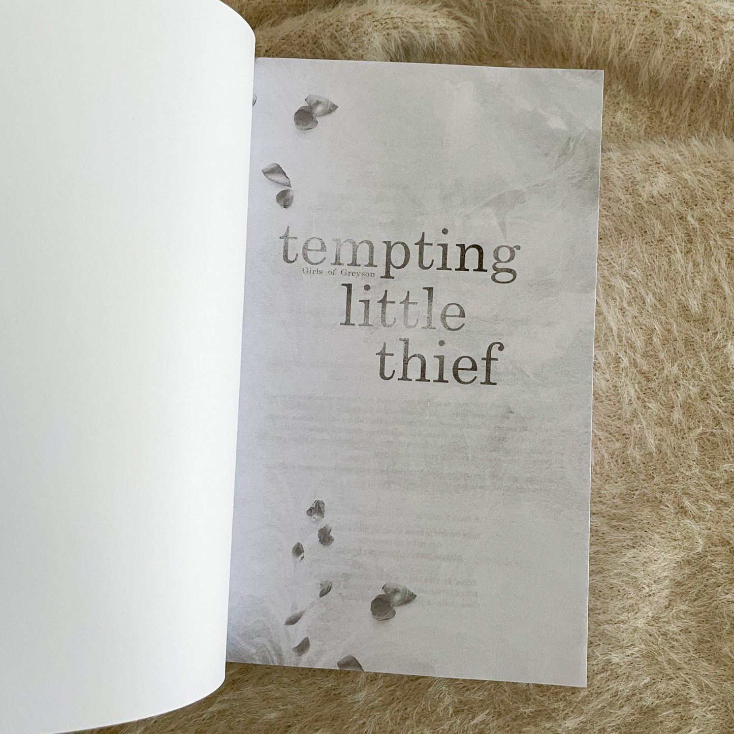 Tempting Little Thief by Meagan Brandy