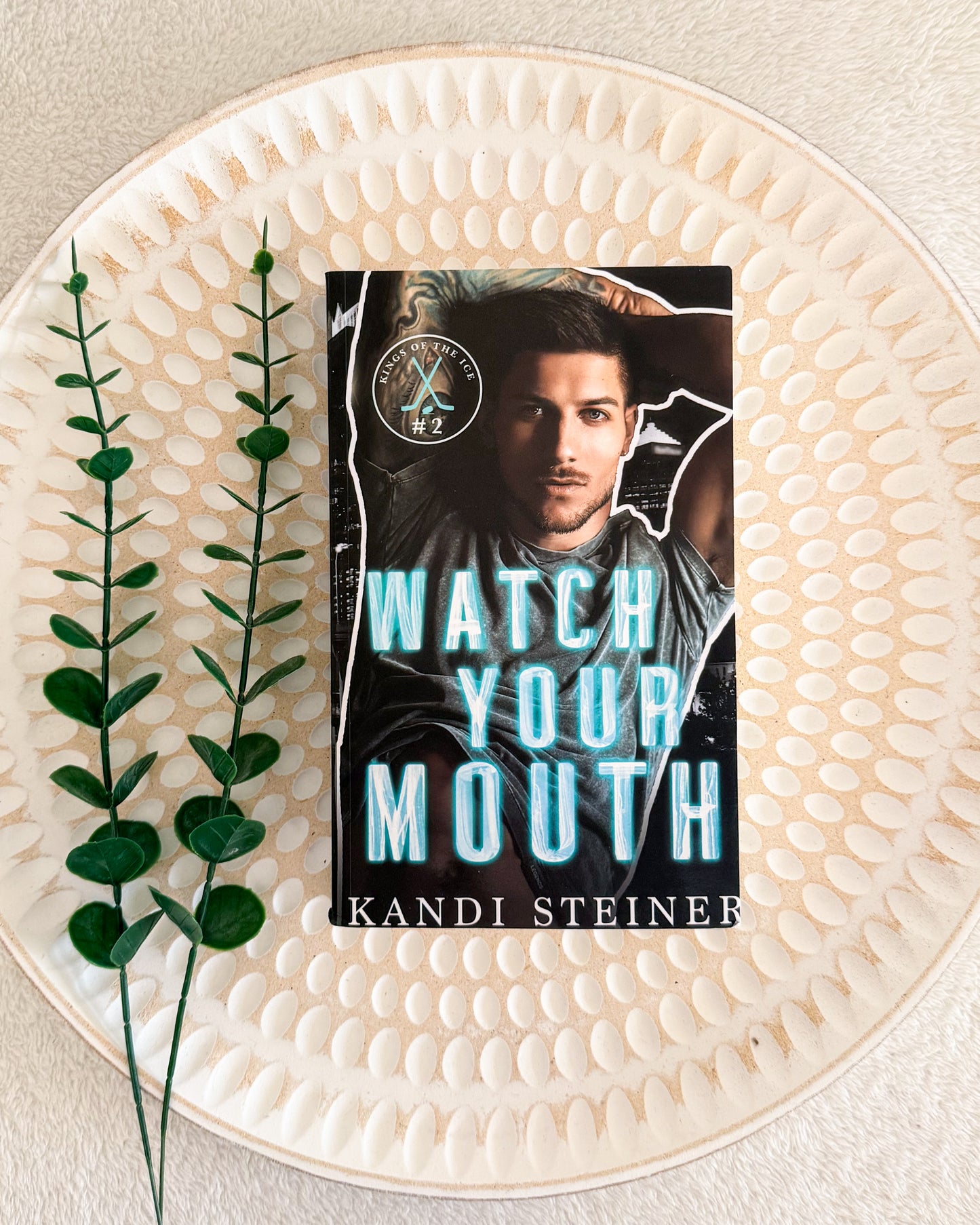 Kings of the Ice series by Kandi Steiner