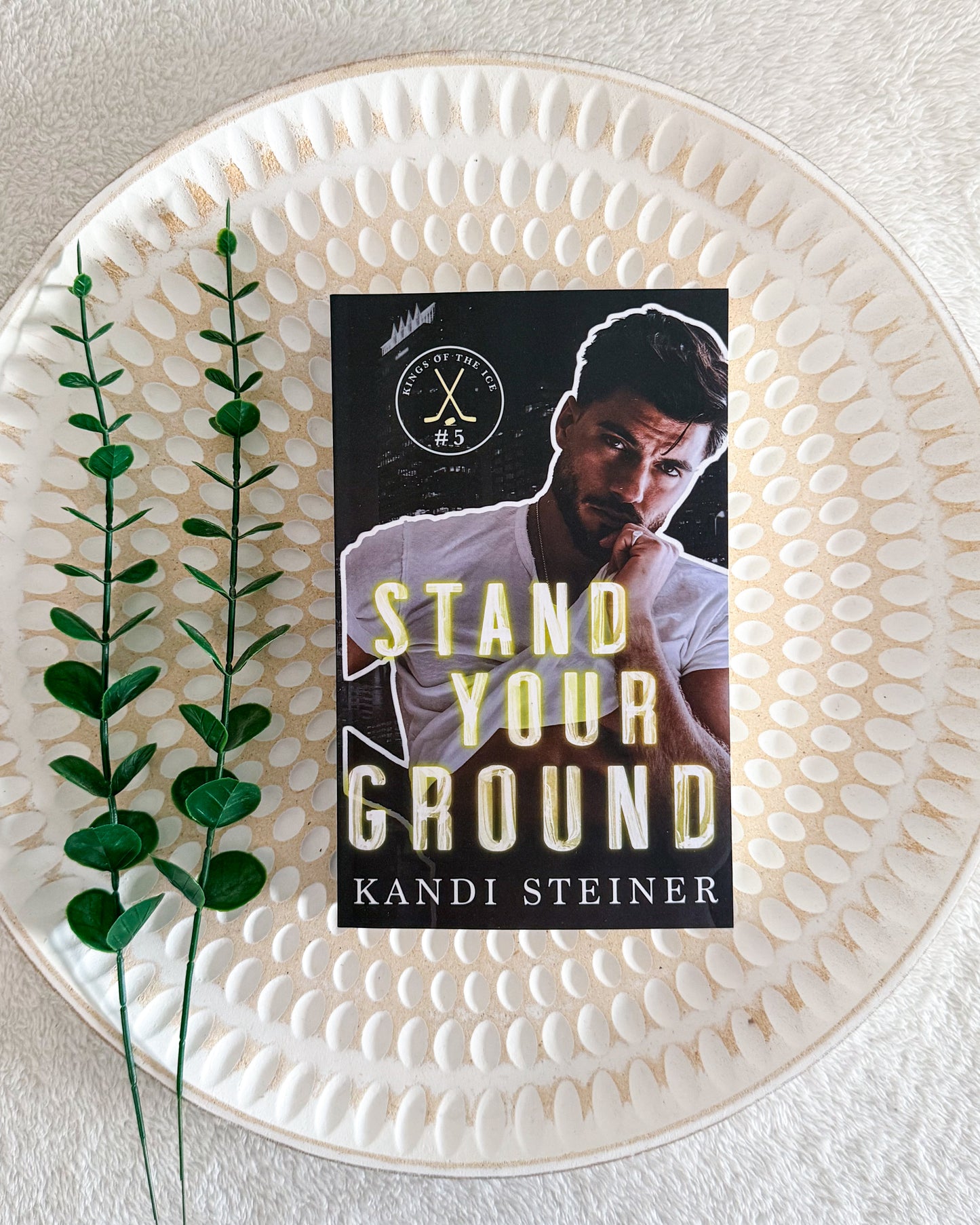 Kings of the Ice series by Kandi Steiner