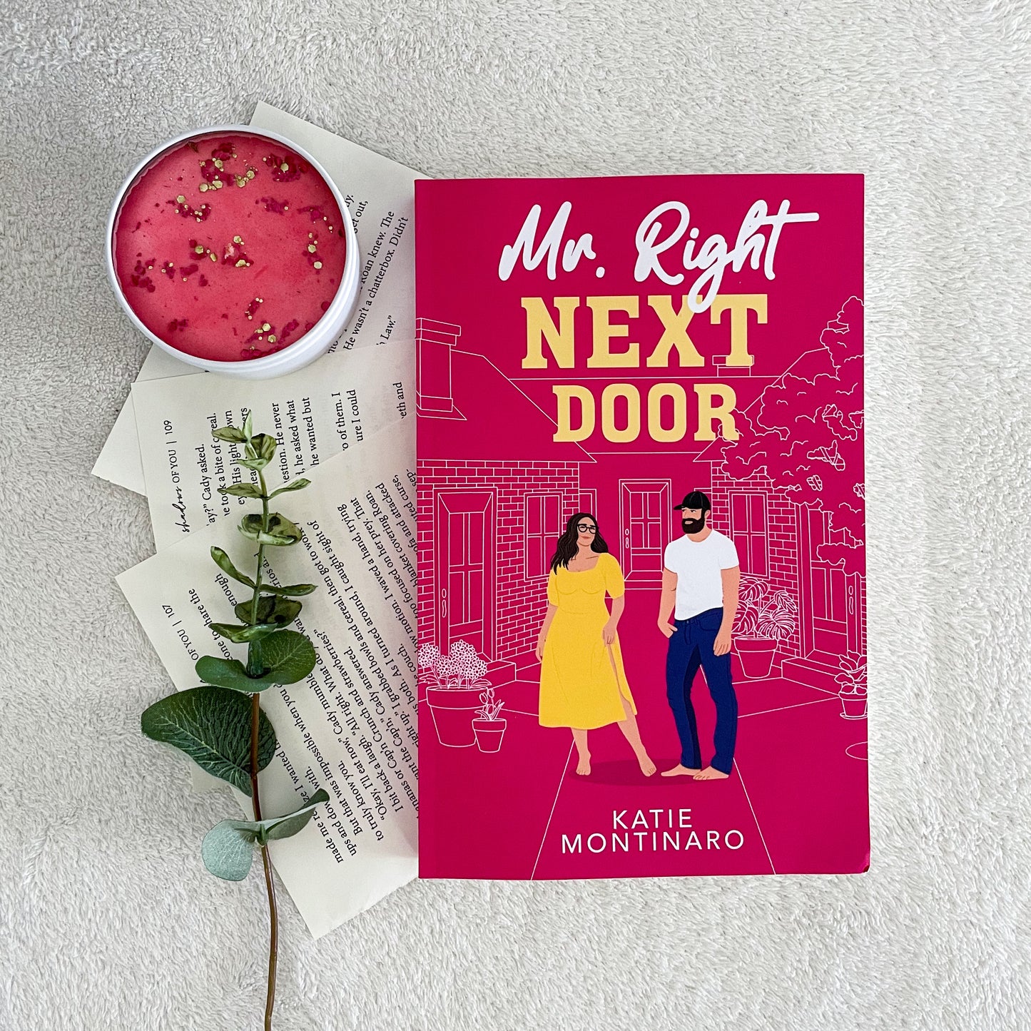 Mr Right Next Door by Katie Montinaro