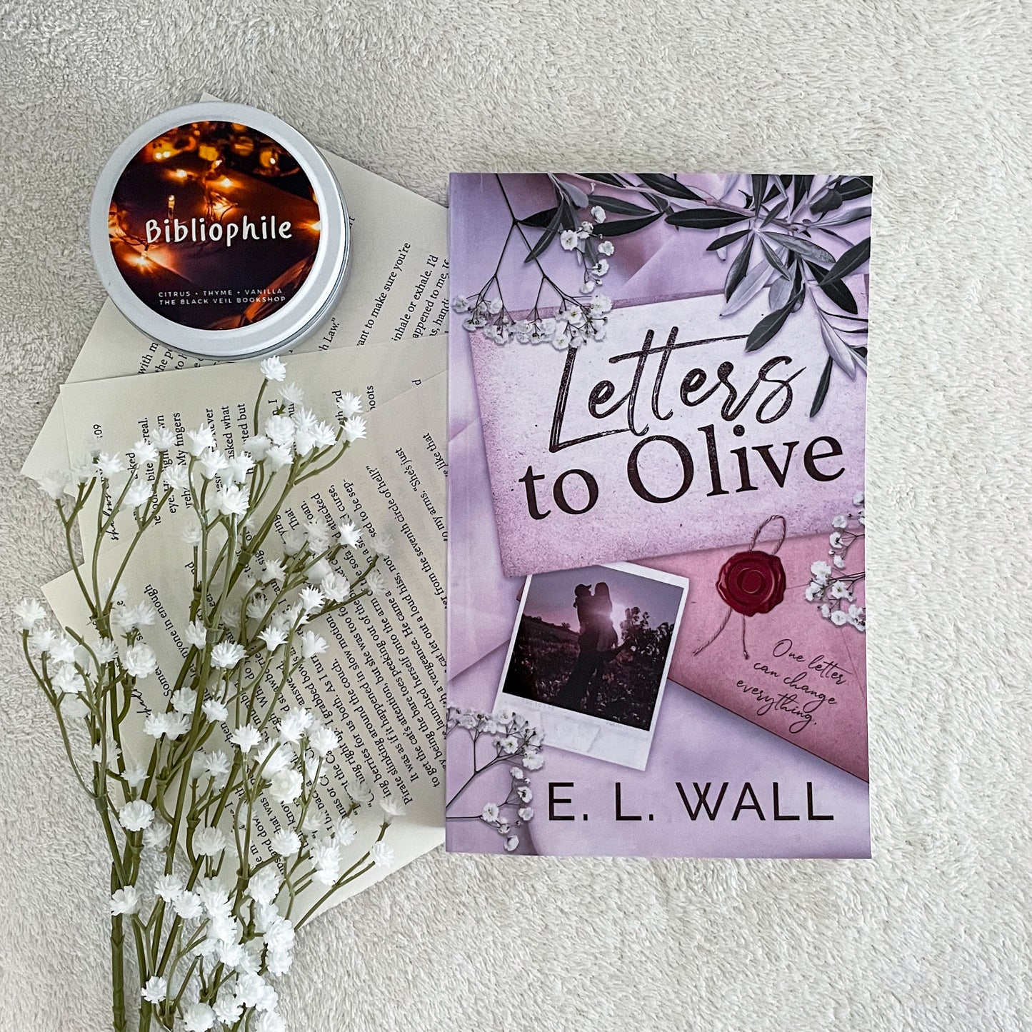 Letters to Olive by E L Wall