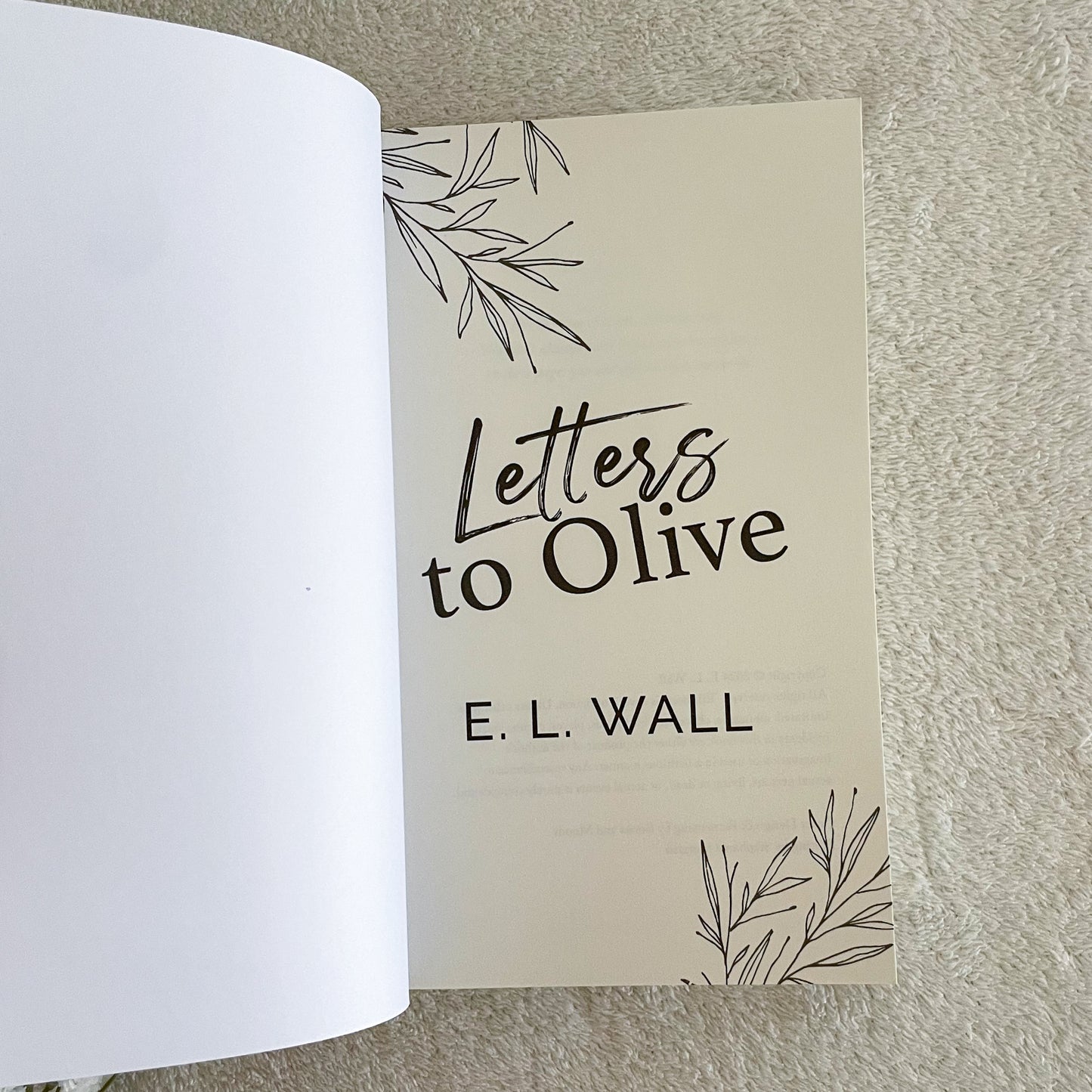 Letters to Olive by E L Wall