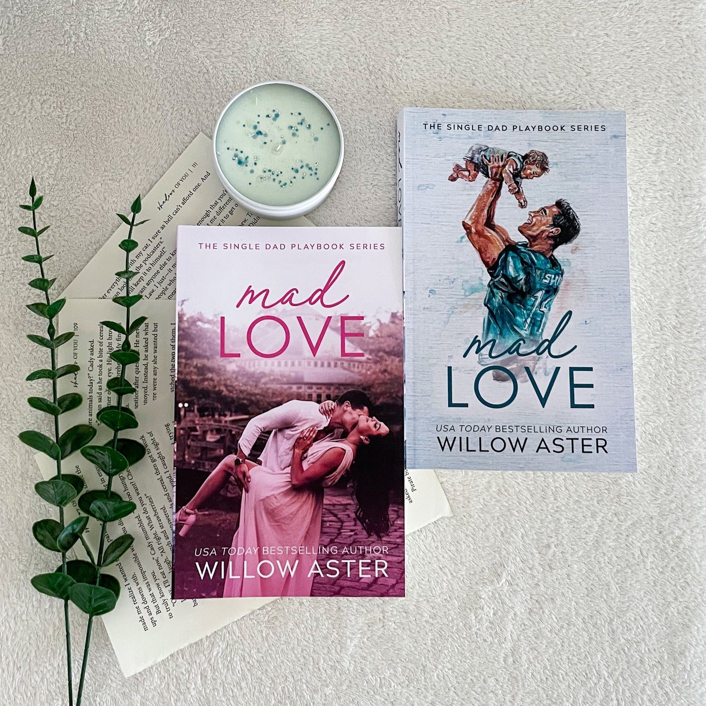 The Single Dad Playbook series by Willow Aster