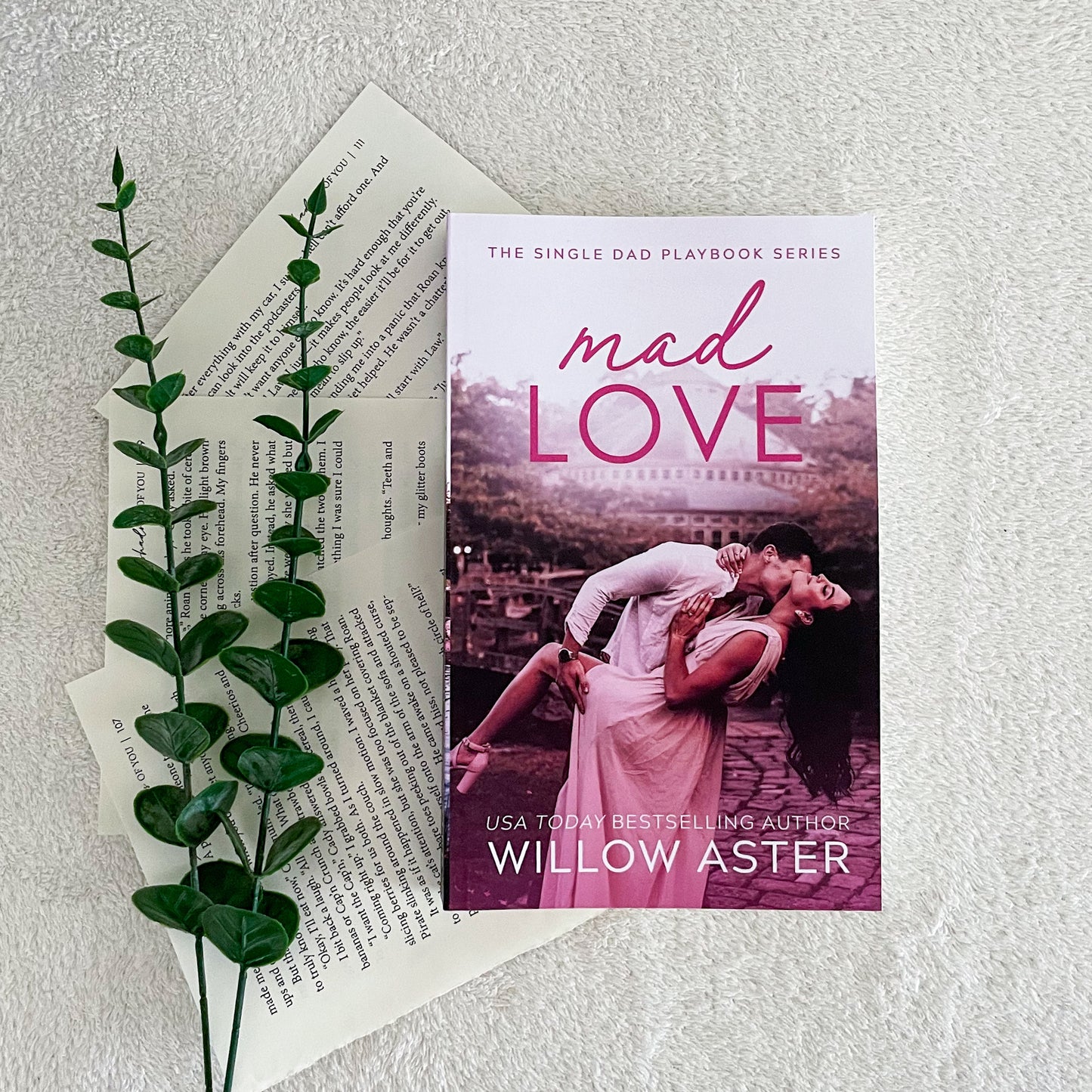 The Single Dad Playbook series by Willow Aster