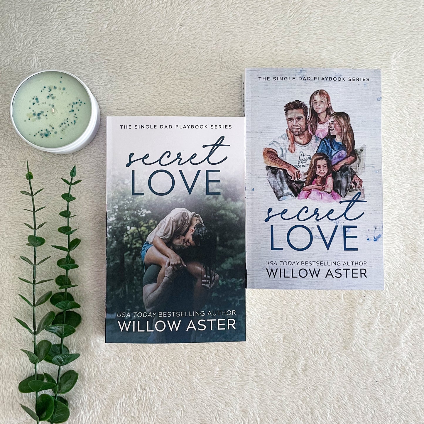 The Single Dad Playbook series by Willow Aster