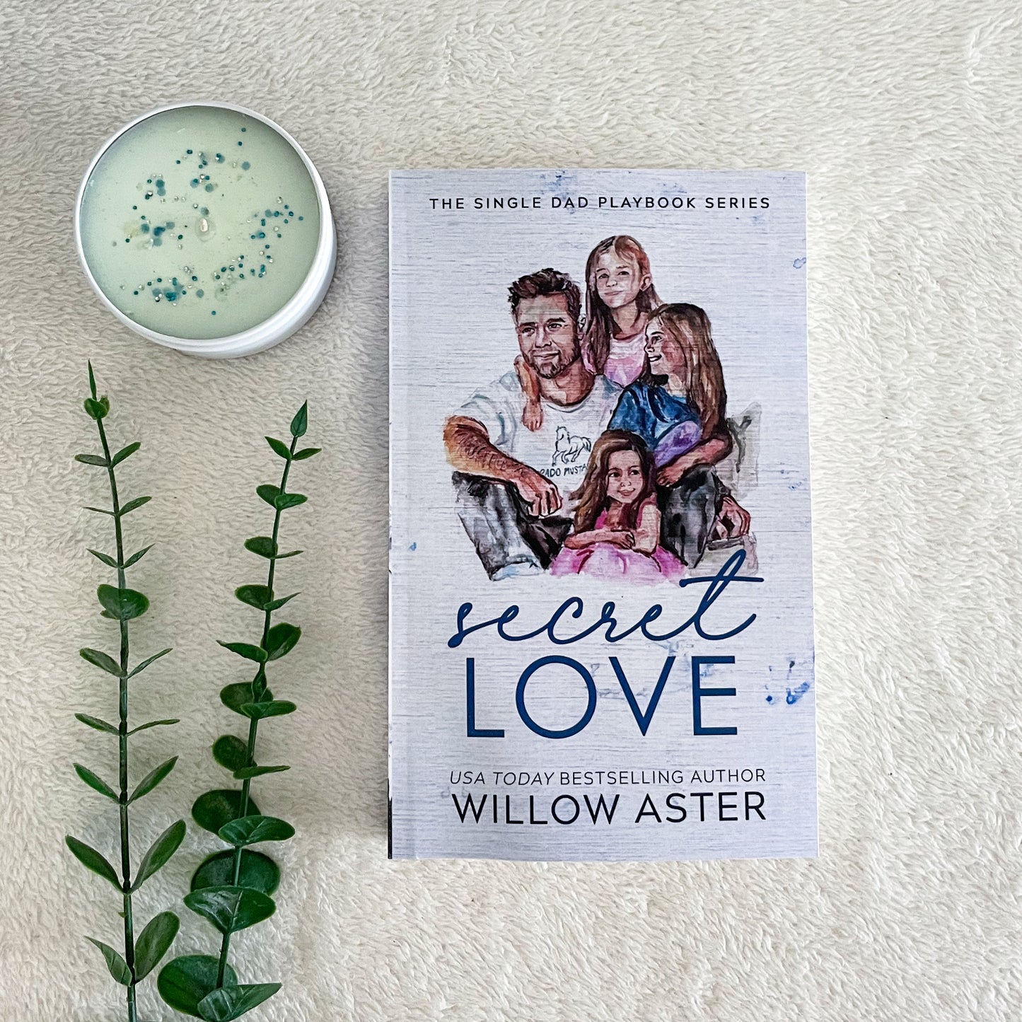 The Single Dad Playbook series by Willow Aster