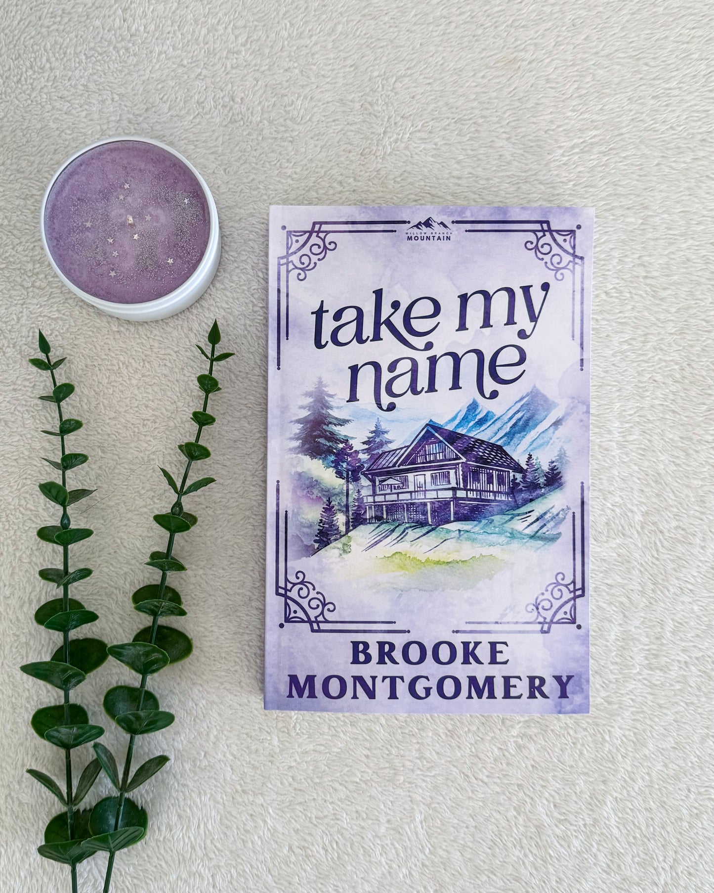 Willow Branch Mountain series by Brooke Montgomery