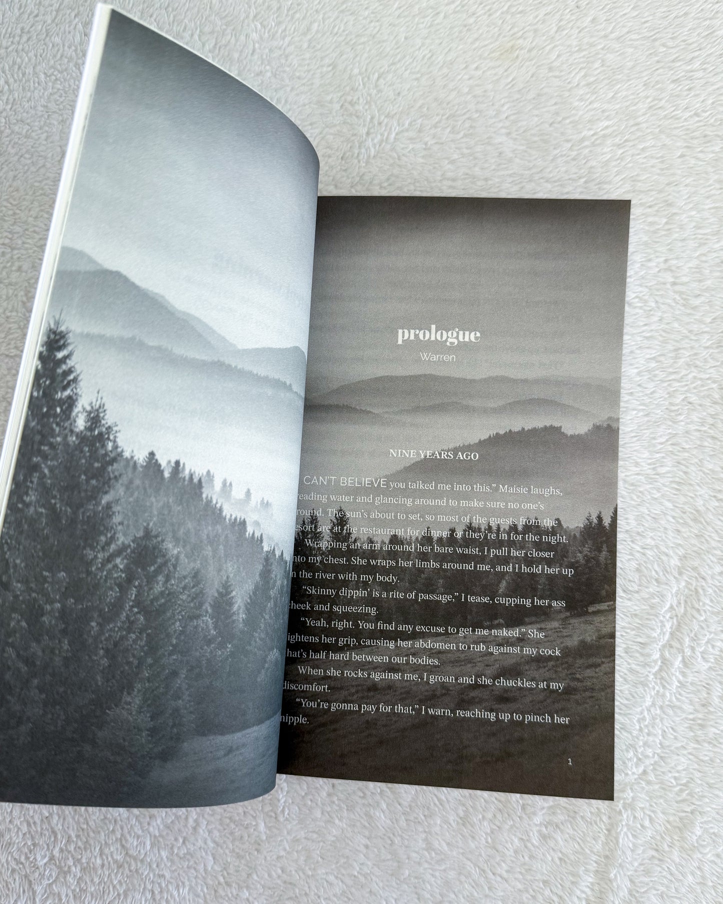 Willow Branch Mountain series by Brooke Montgomery