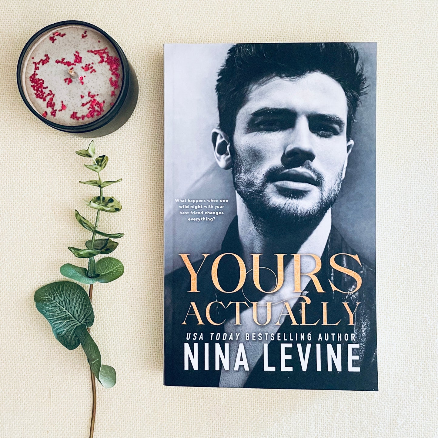 Only Yours series by Nina Levine
