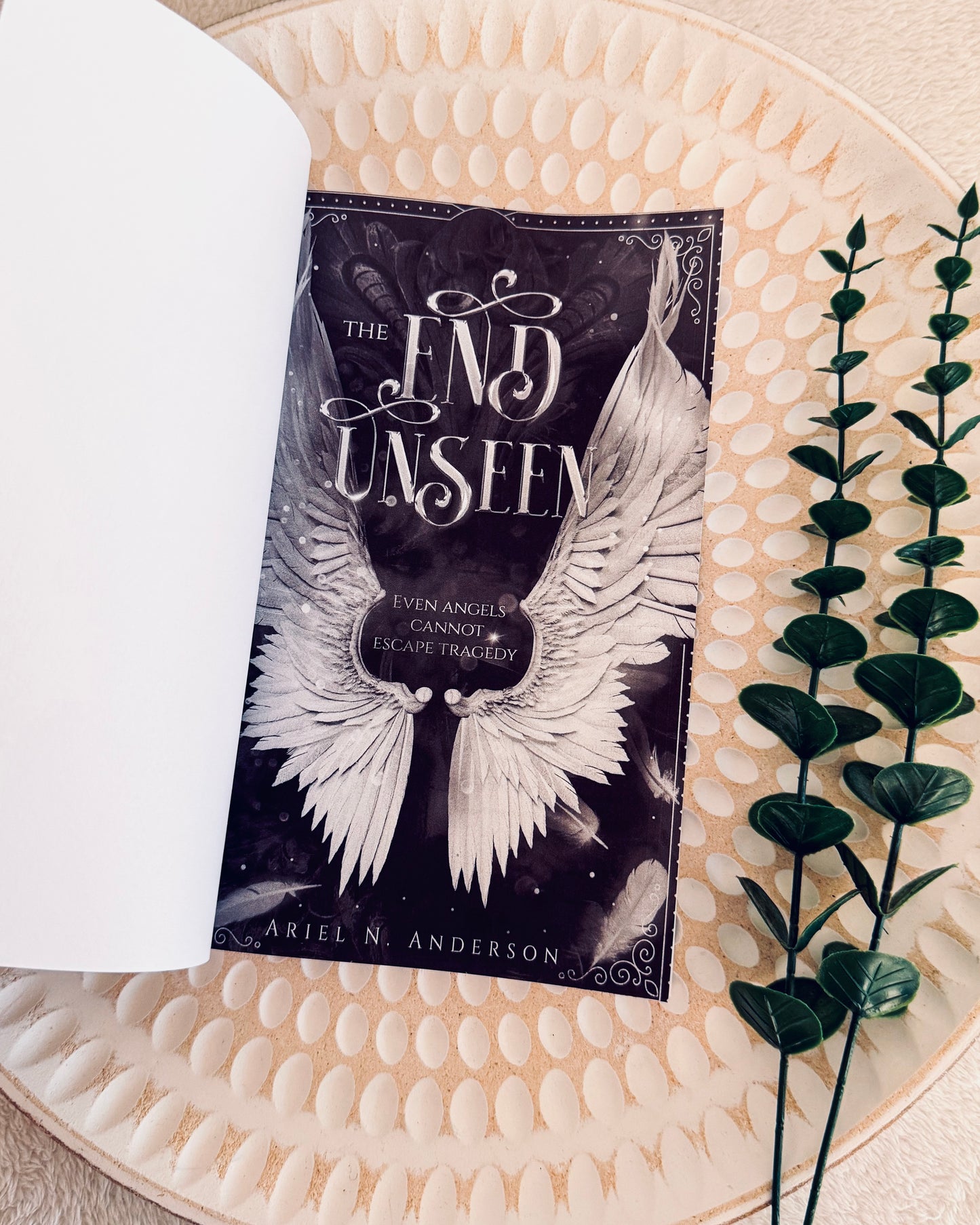 The End Unseen by Ariel N Anderson