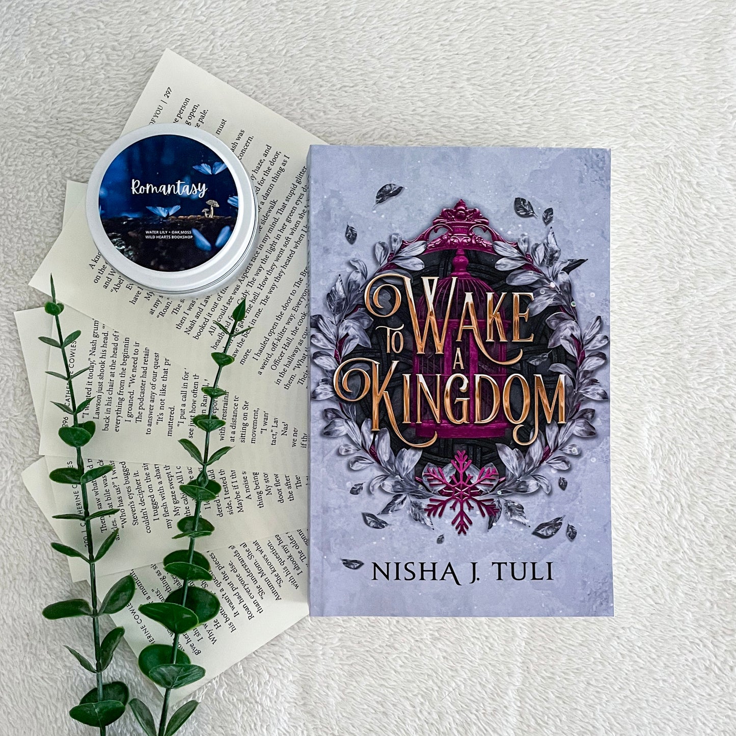 To Wake a Kingdom by Nisha J Tuli