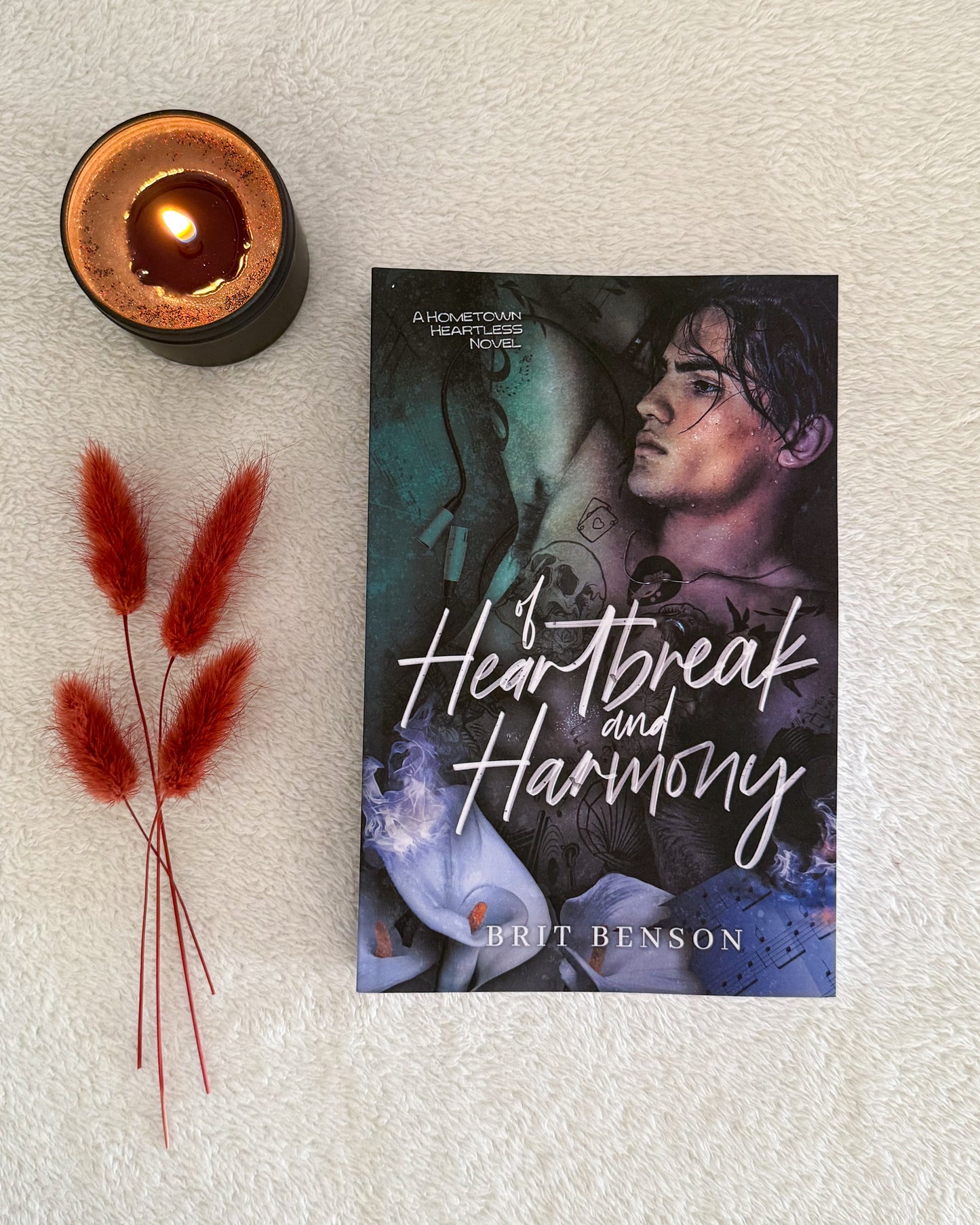 The Hometown Heartless series by Brit Benson