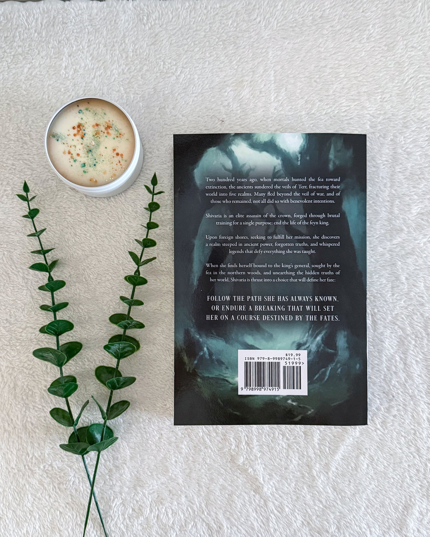 Veils of Terr series by JR Cathers