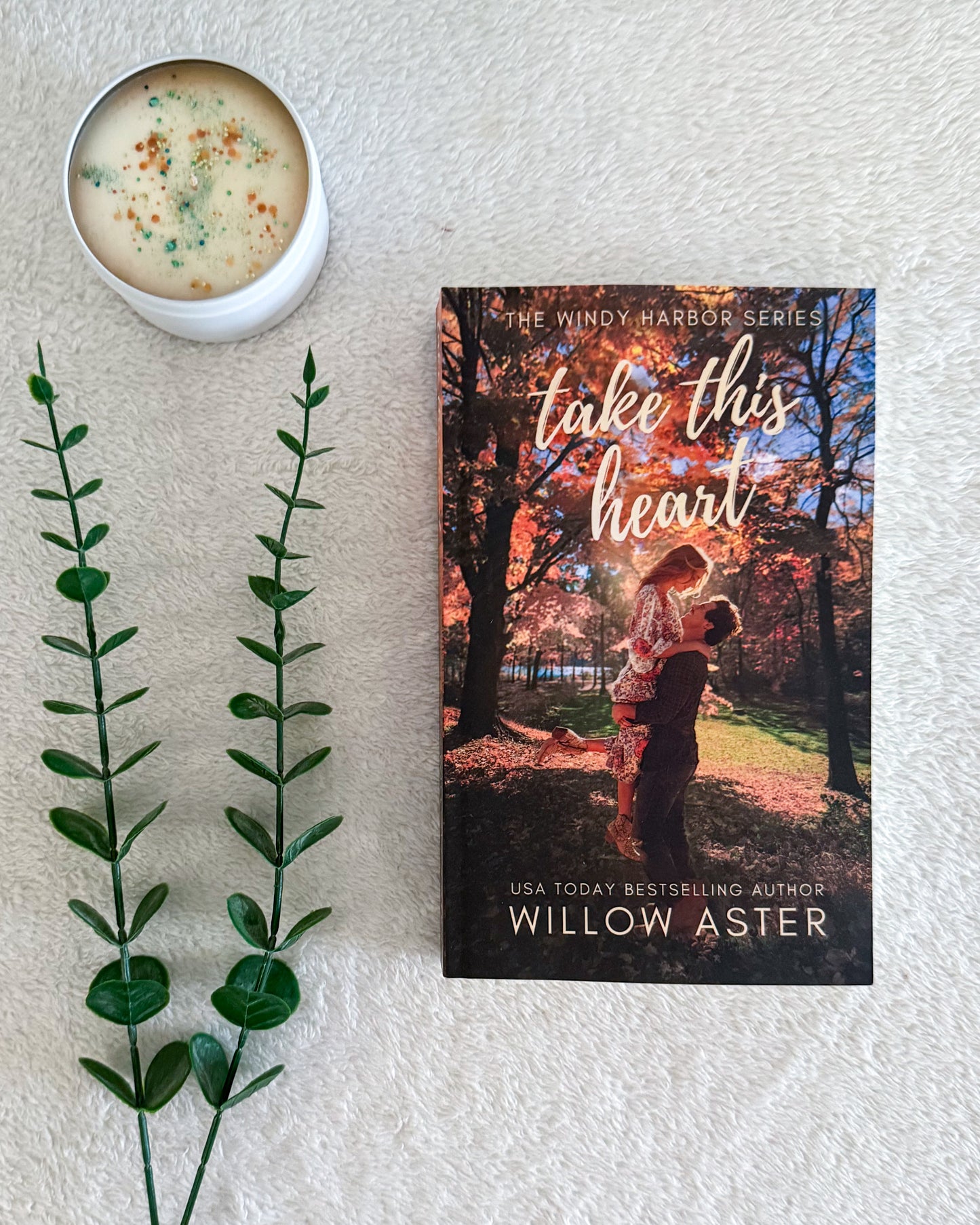 Windy Harbor series by Willow Aster