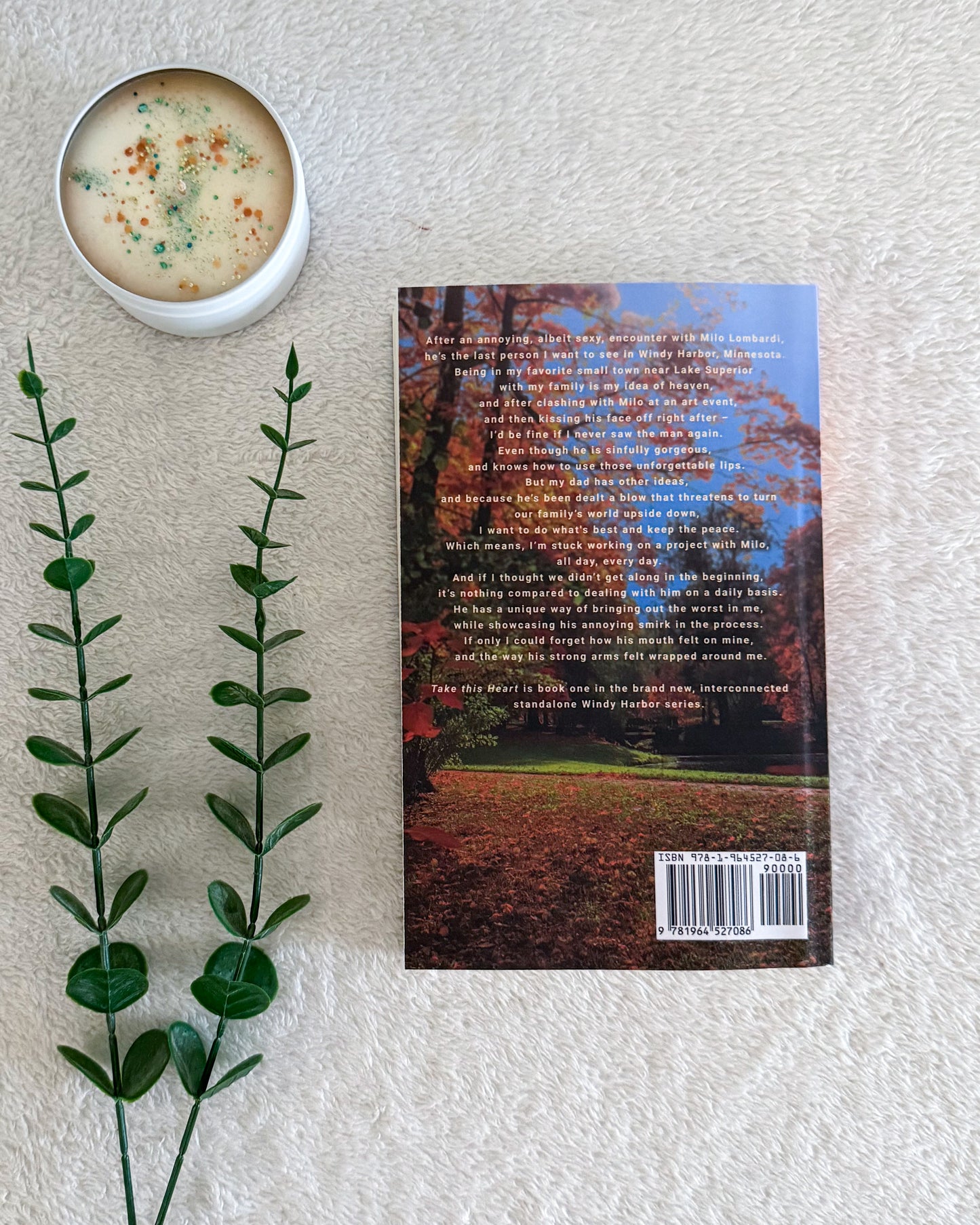 Windy Harbor series by Willow Aster