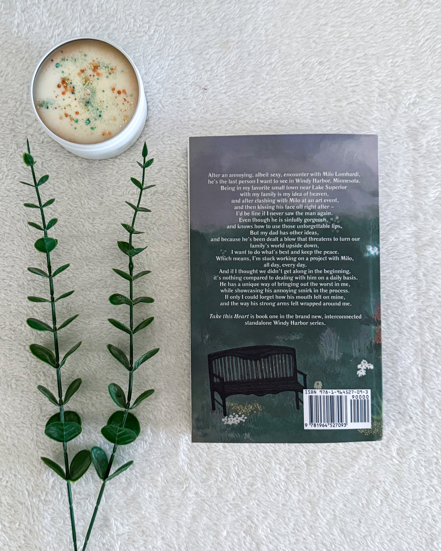 Windy Harbor series by Willow Aster