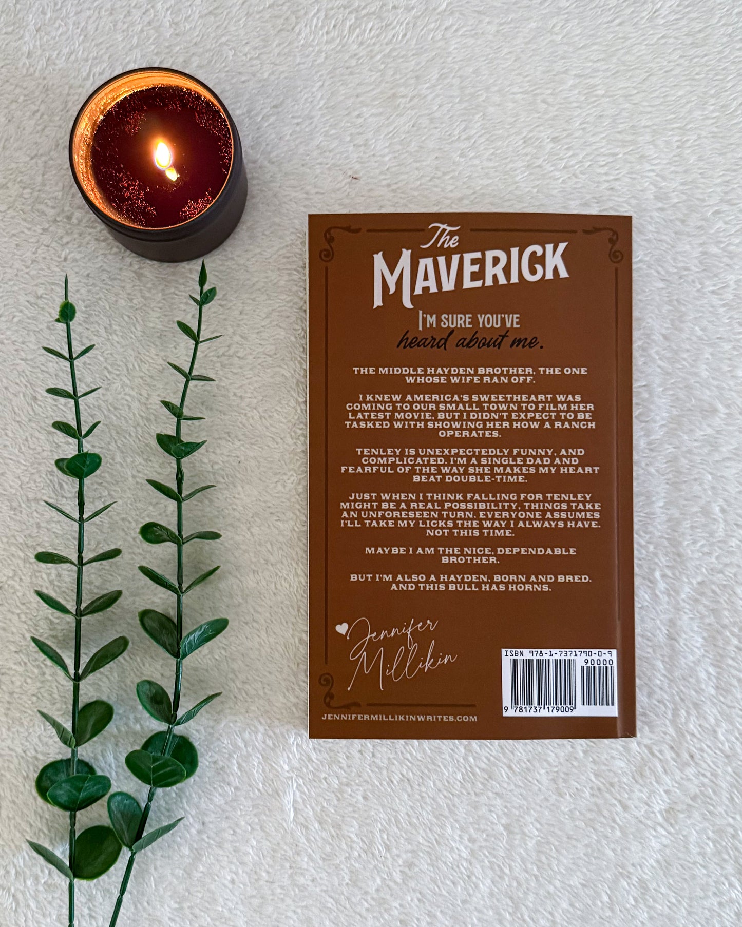 Hayden Family series by Jennifer Millikin