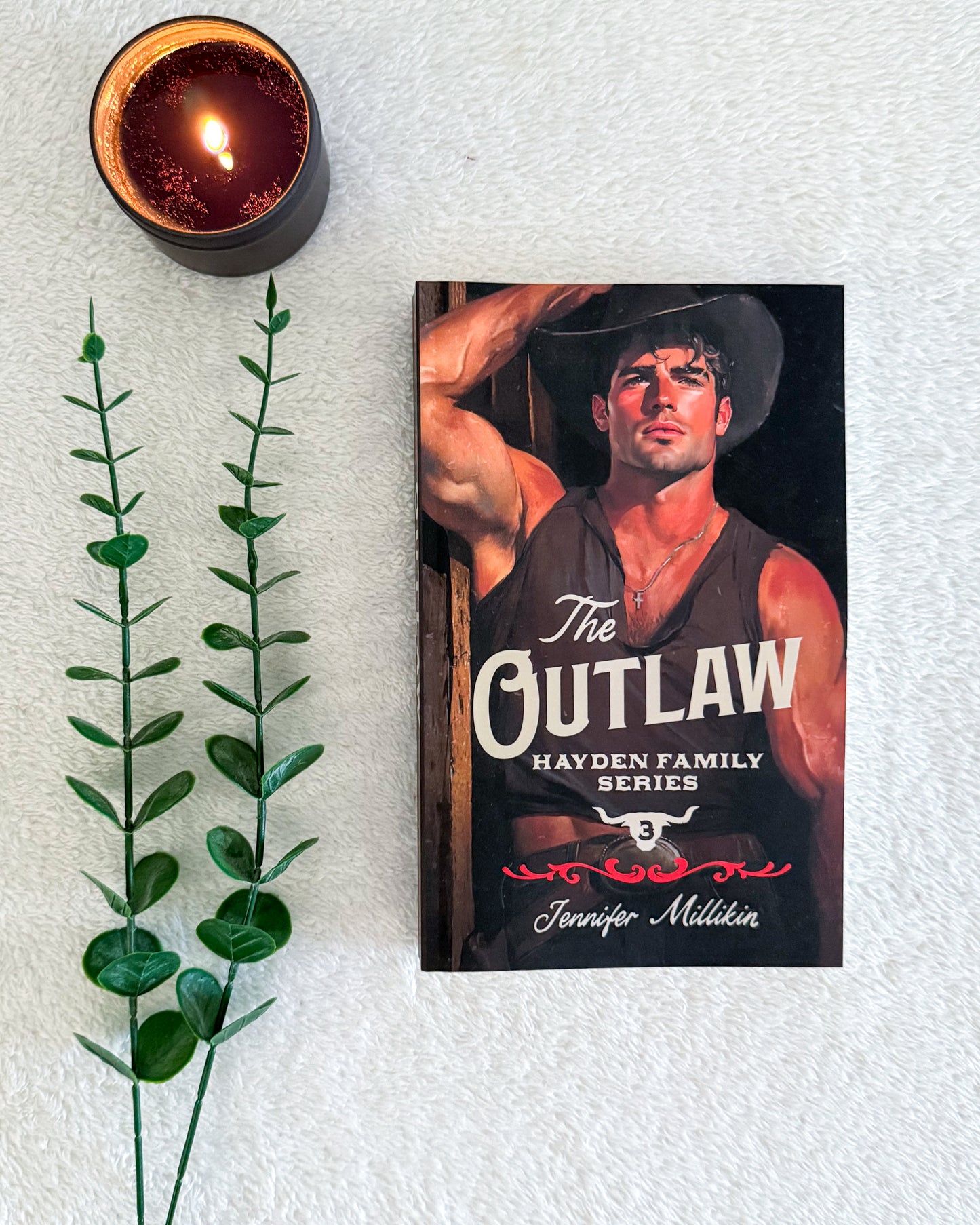 Hayden Family series by Jennifer Millikin