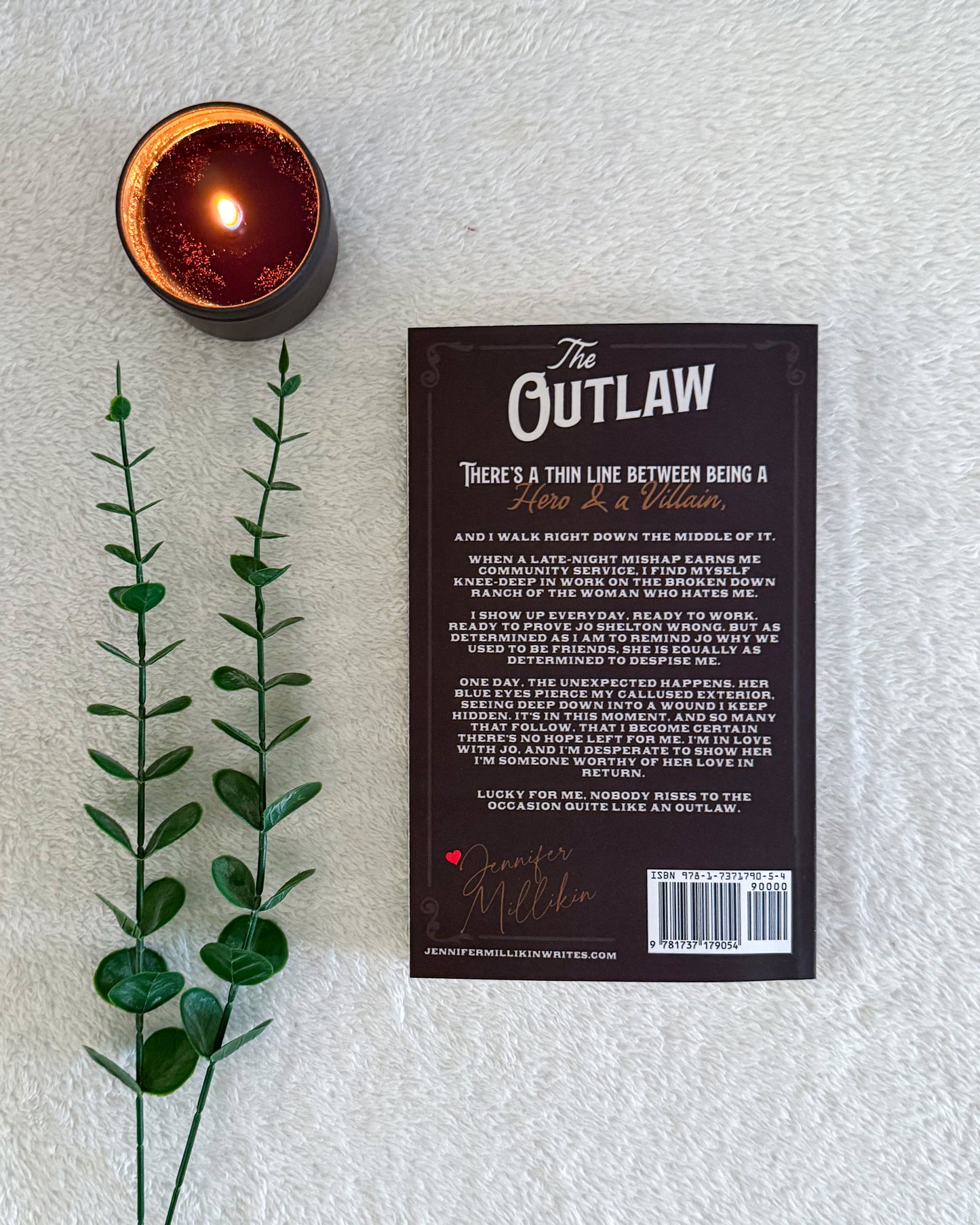 Hayden Family series by Jennifer Millikin