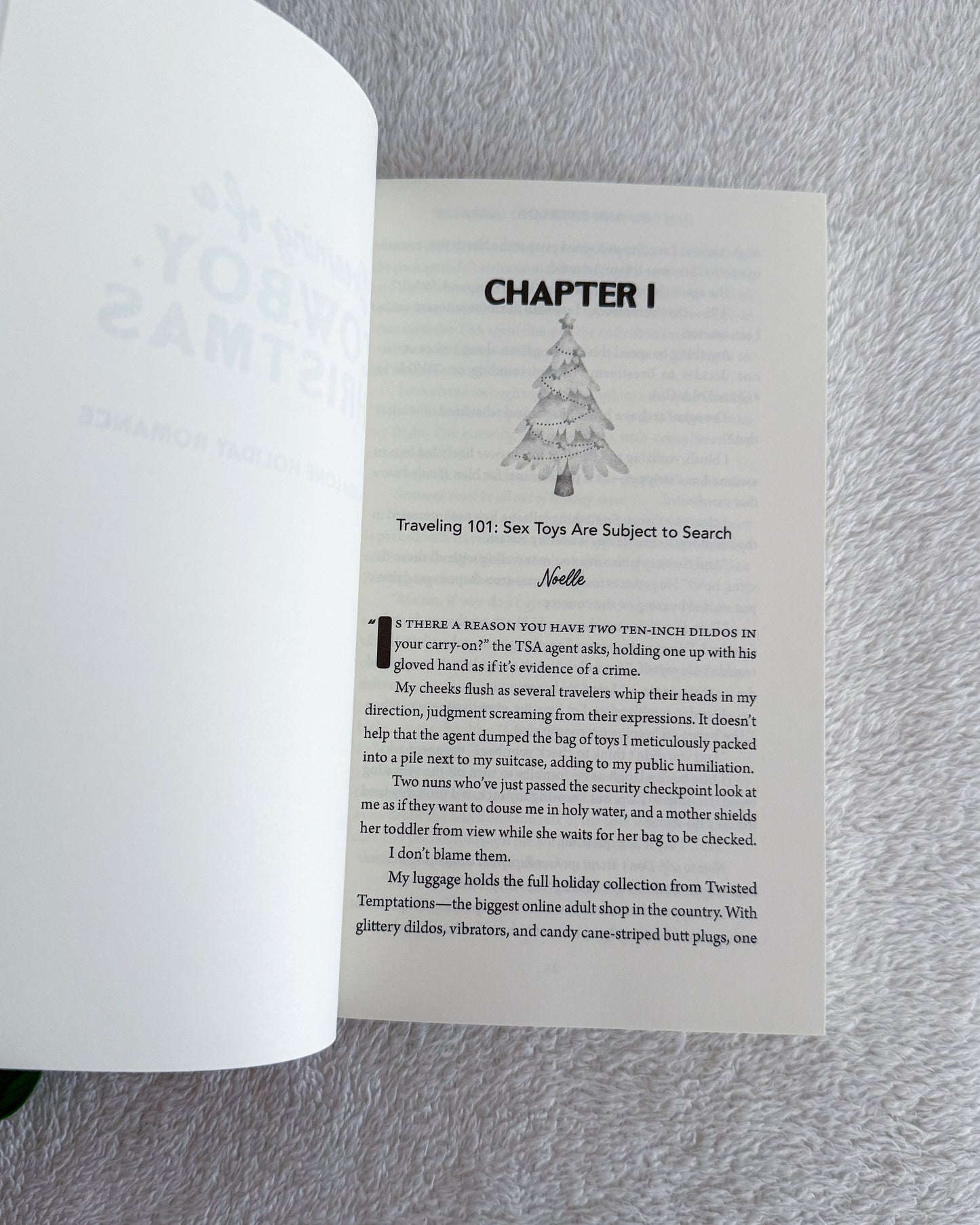 Dreaming of A Cowboy Christmas by Ann Einerson