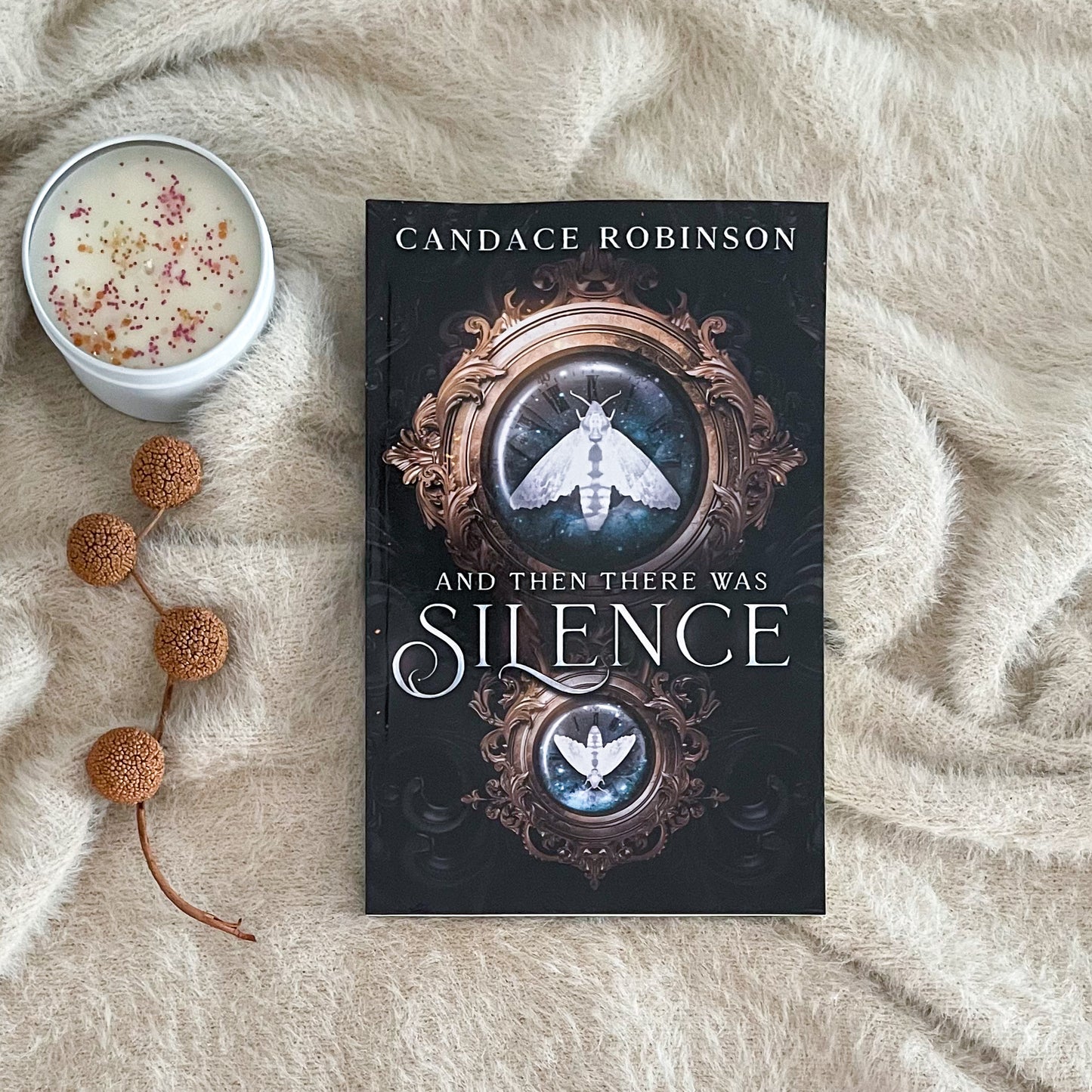 And Then There Was Silence by Candace Robinson