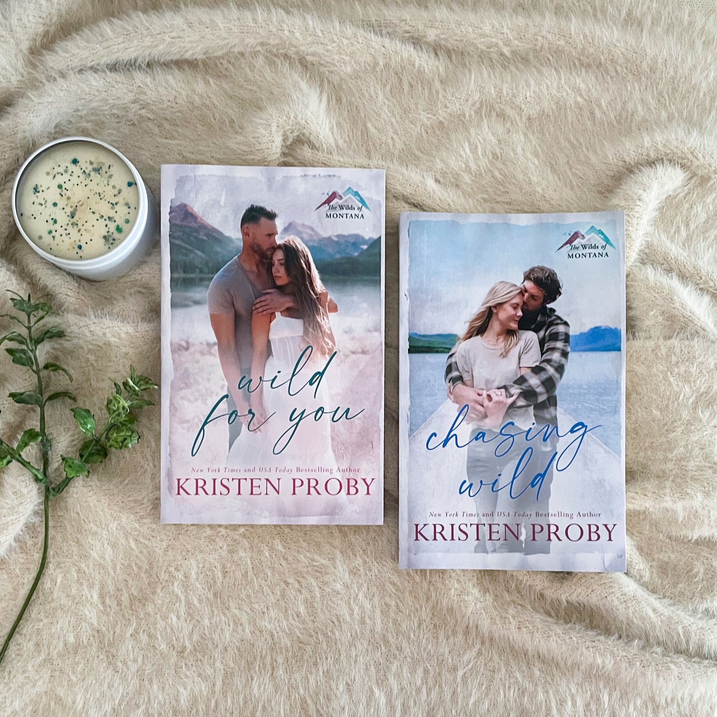 The Wilds of Montana series by Kristen Proby